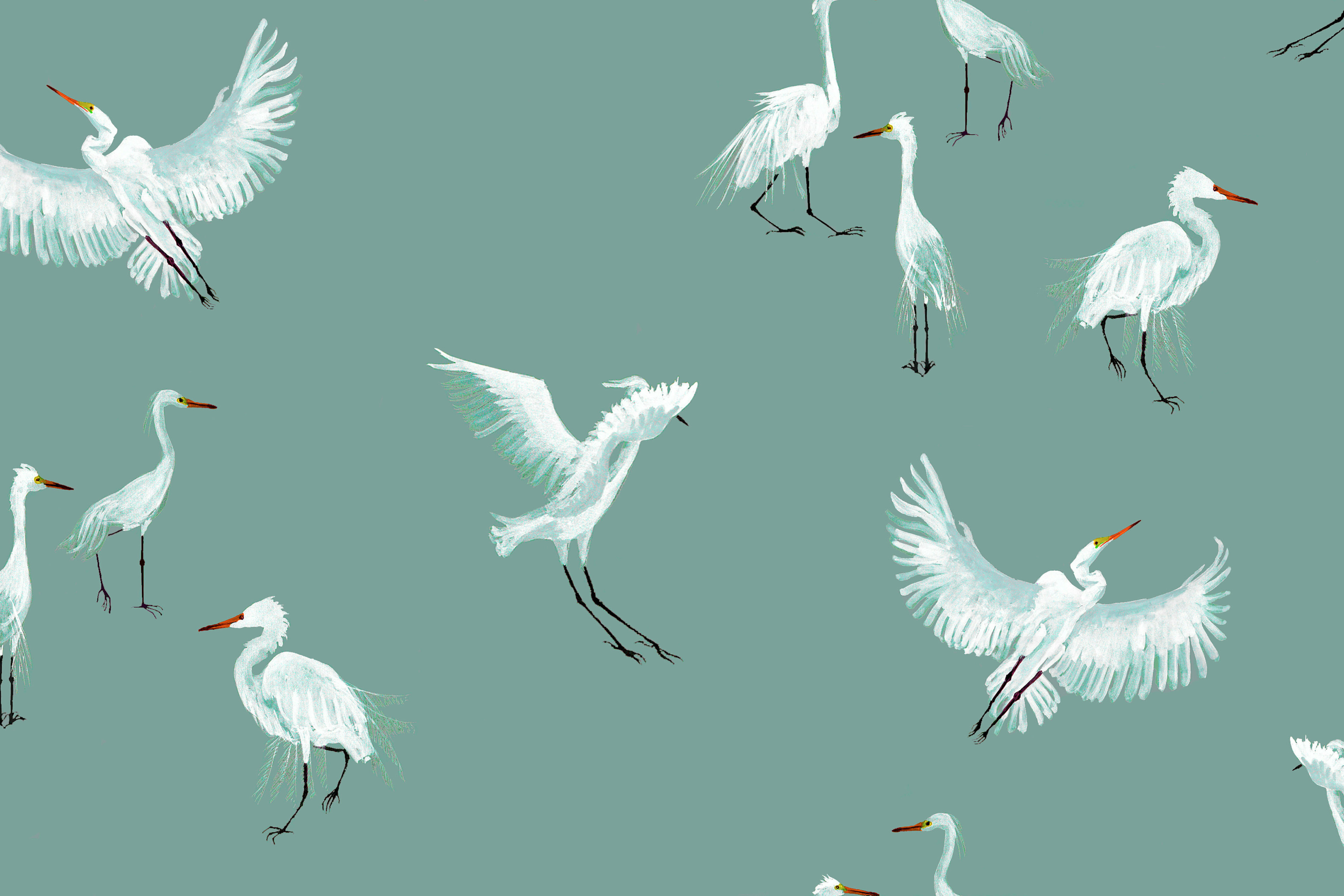 White egret wall art 3840x2560