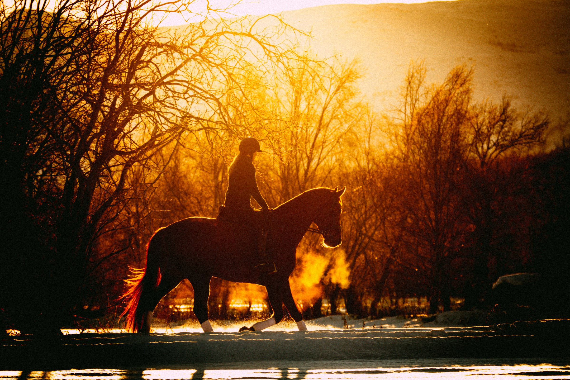 Equestria Girls Sunset Shimmer Wallpaper 2400x1600