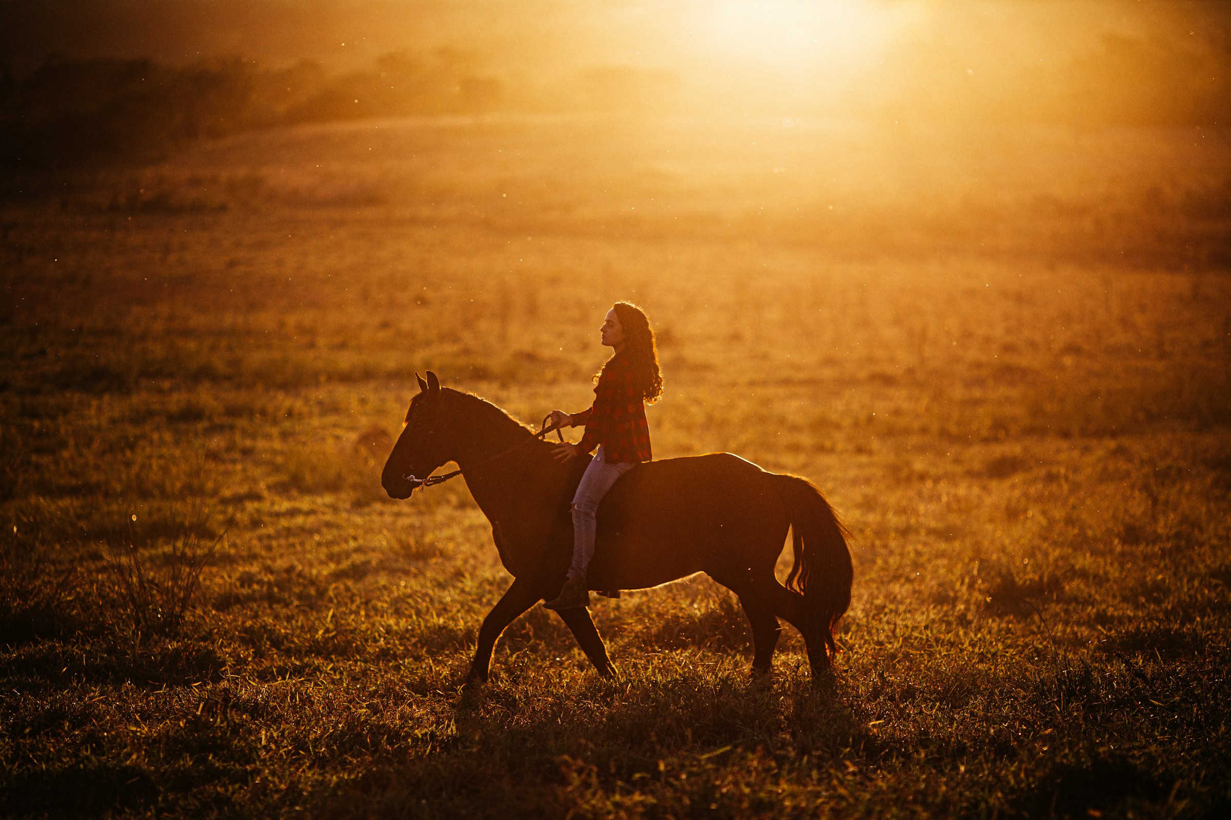 Equestrian Wallpapers 2400x1600