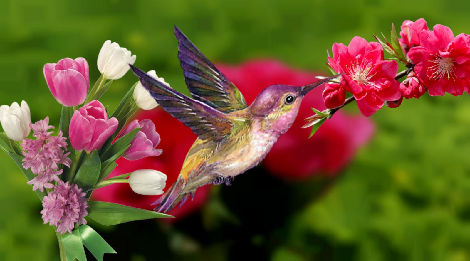 Birds and Flowers Clipart 1600x889