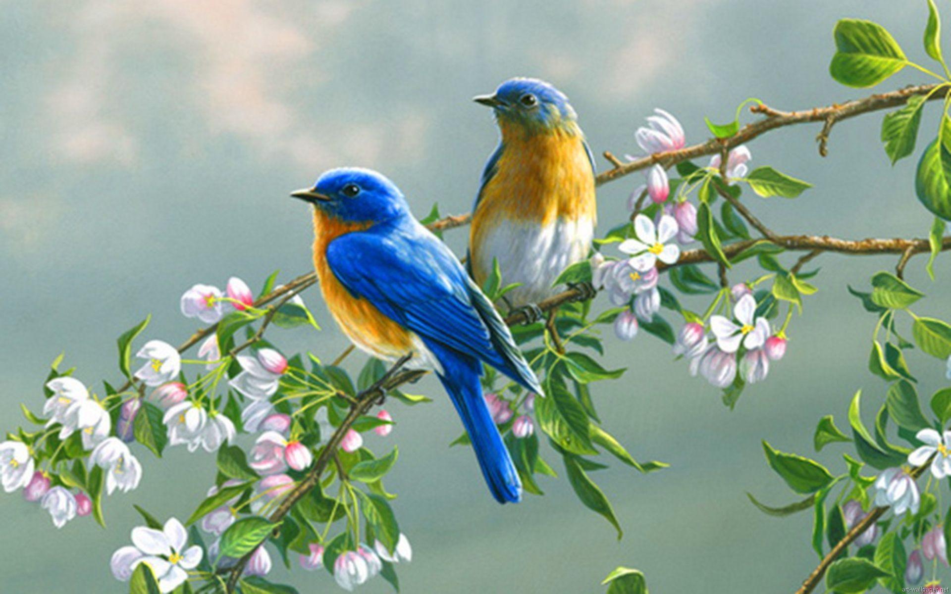 Blue Birds and Flowers Wallpaper 1920x1200