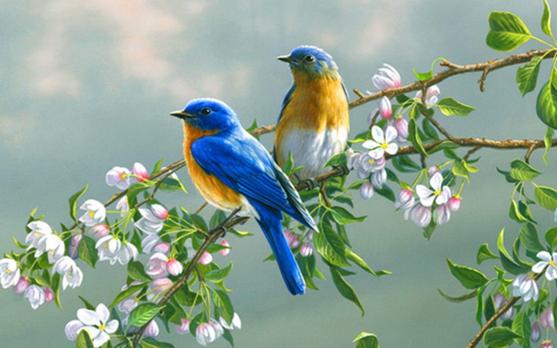 Wall Art Birds and Flowers 1920x1200