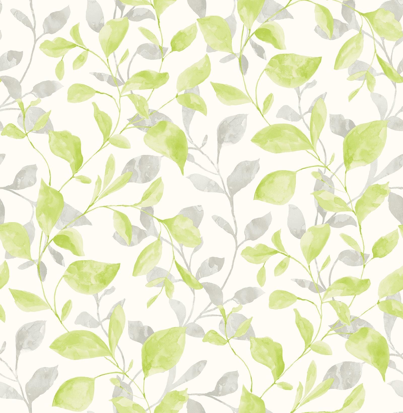 Free Green Vines Background Images 1600x1639