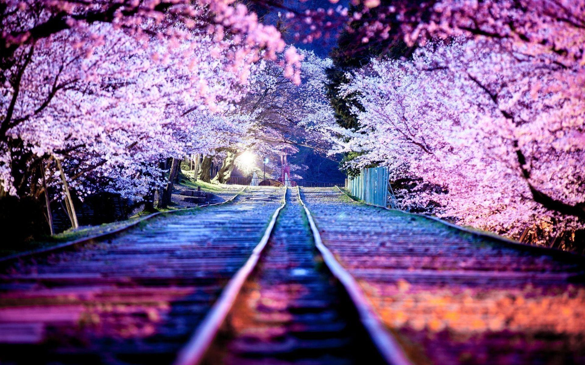 Pastel Kyoto Wallpapers 1920x1200