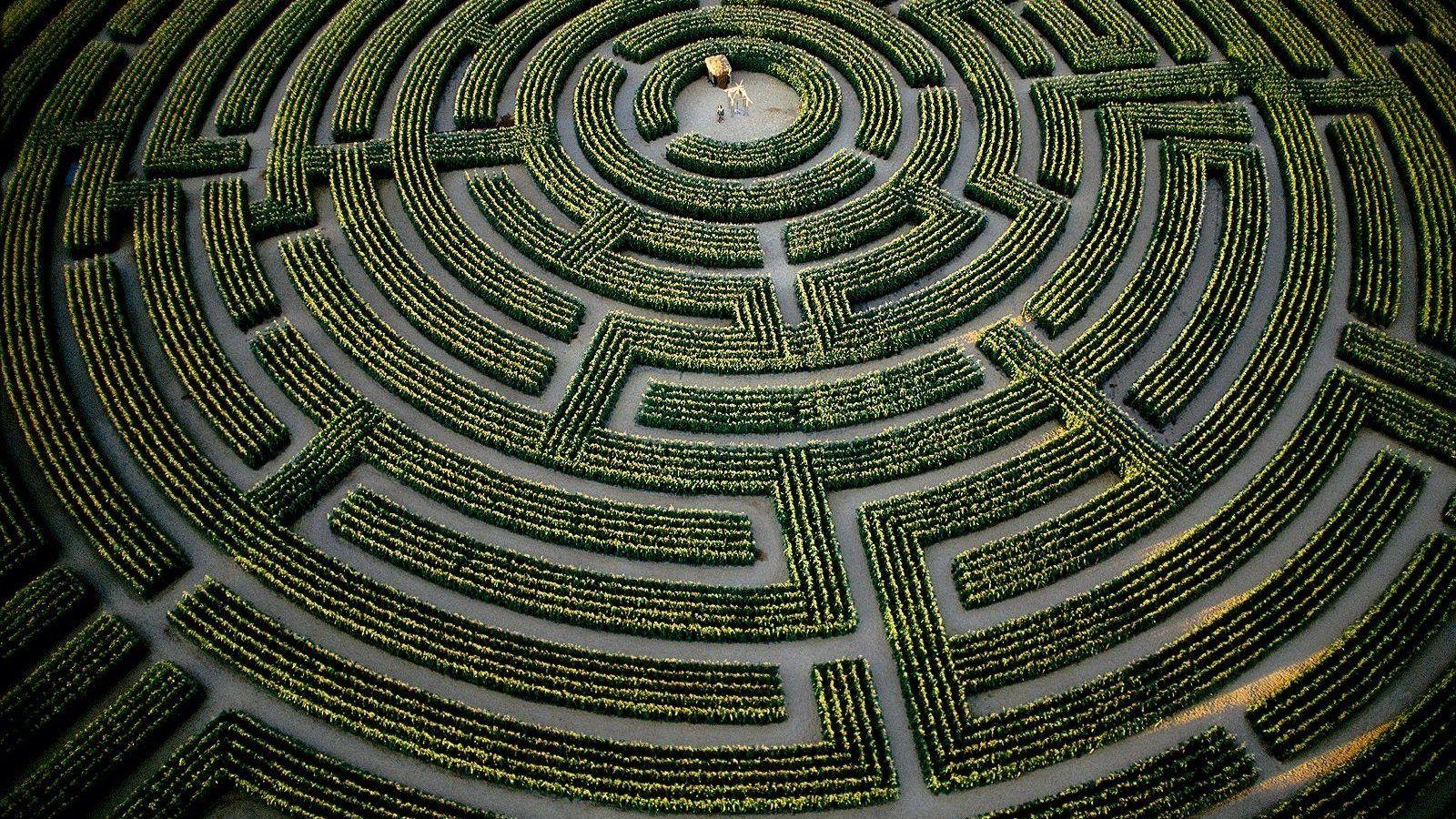 Labyrinth Deungeon Wallpaper 1600x900