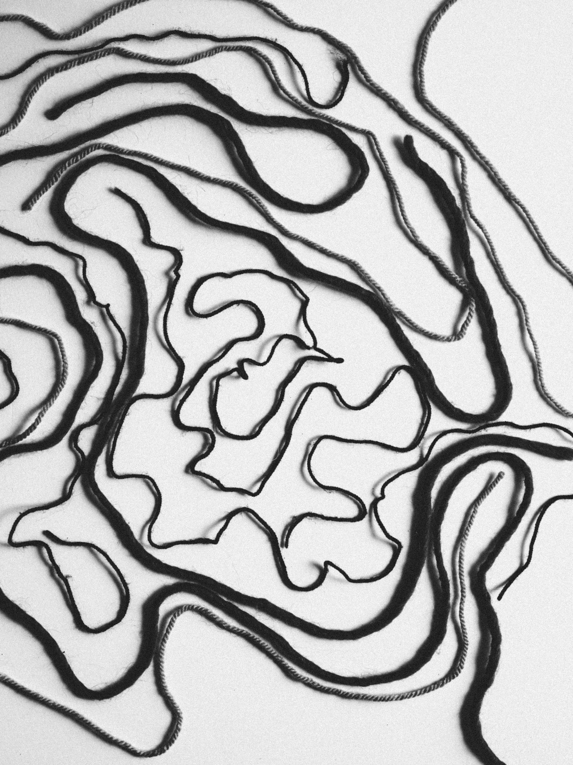Labyrinth Worm Wallpaper 1920x2561