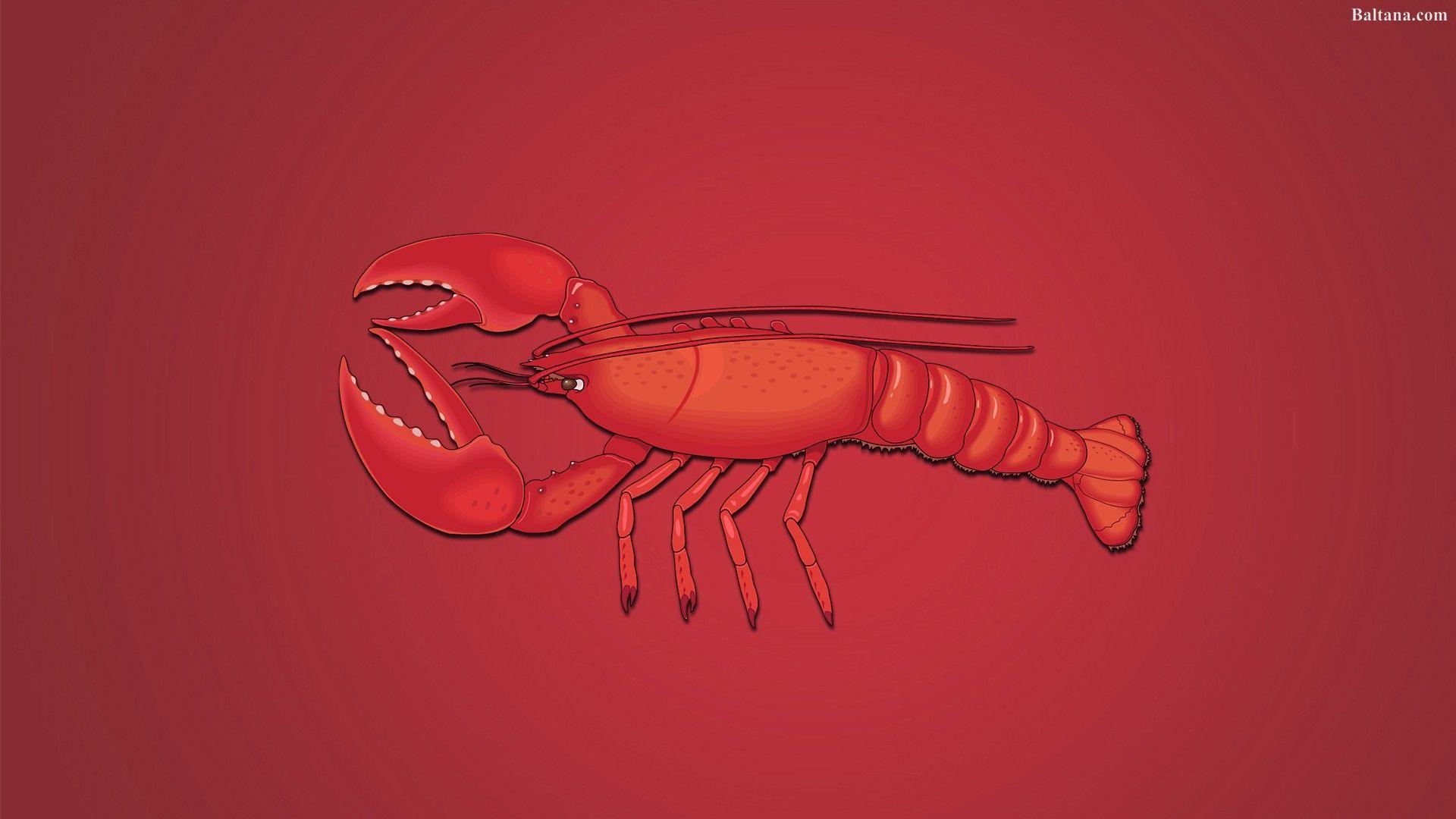 Jordan Peterson Lobster Wallpaper 1920x1080