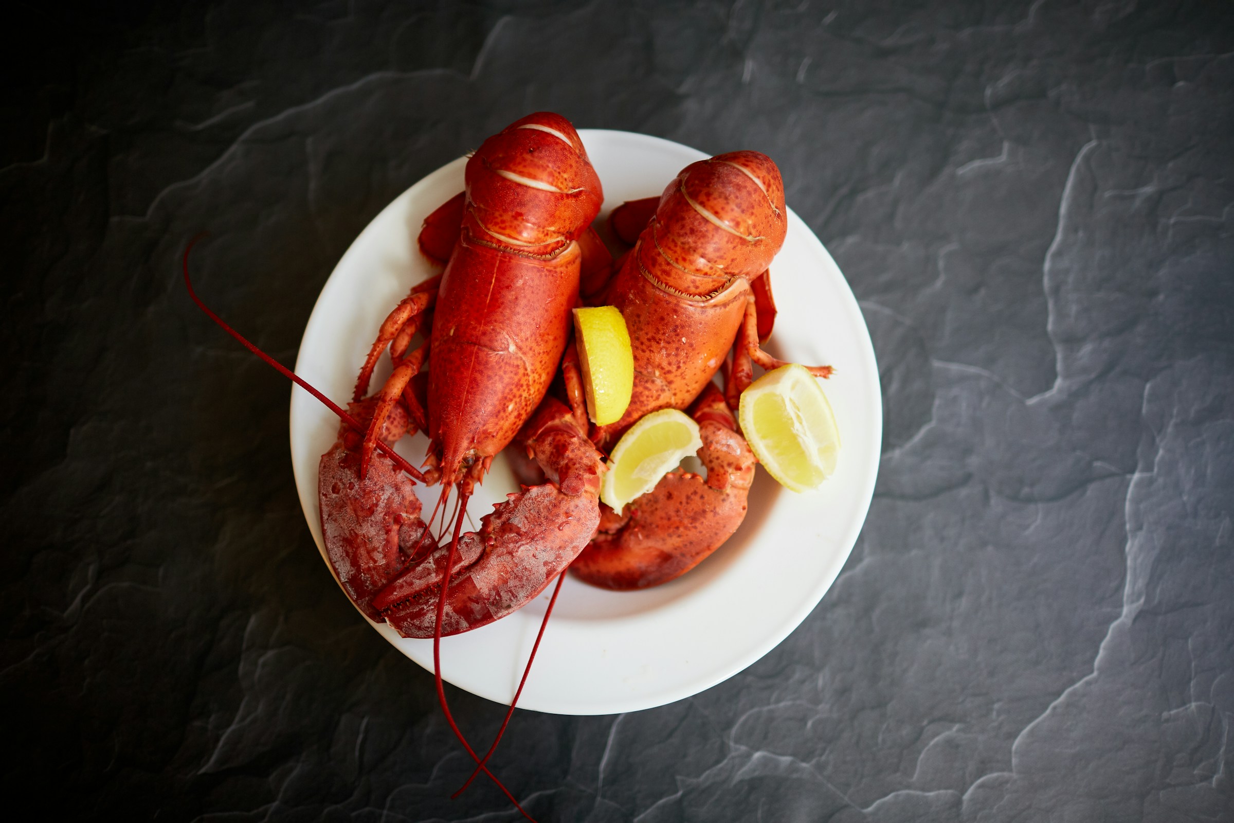 Lobster Desktop Wallpaper 2400x1600