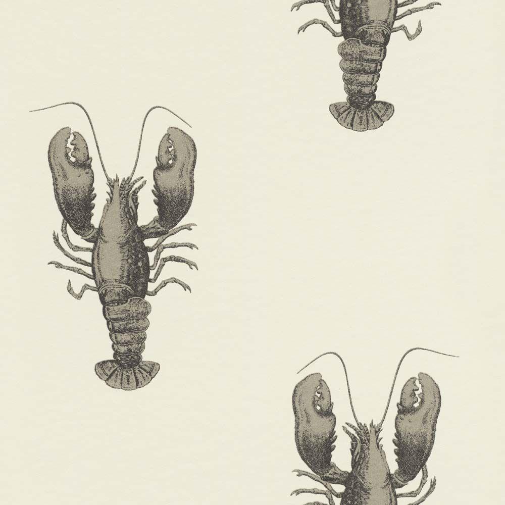 Lobster Graphic Images 1000x1000