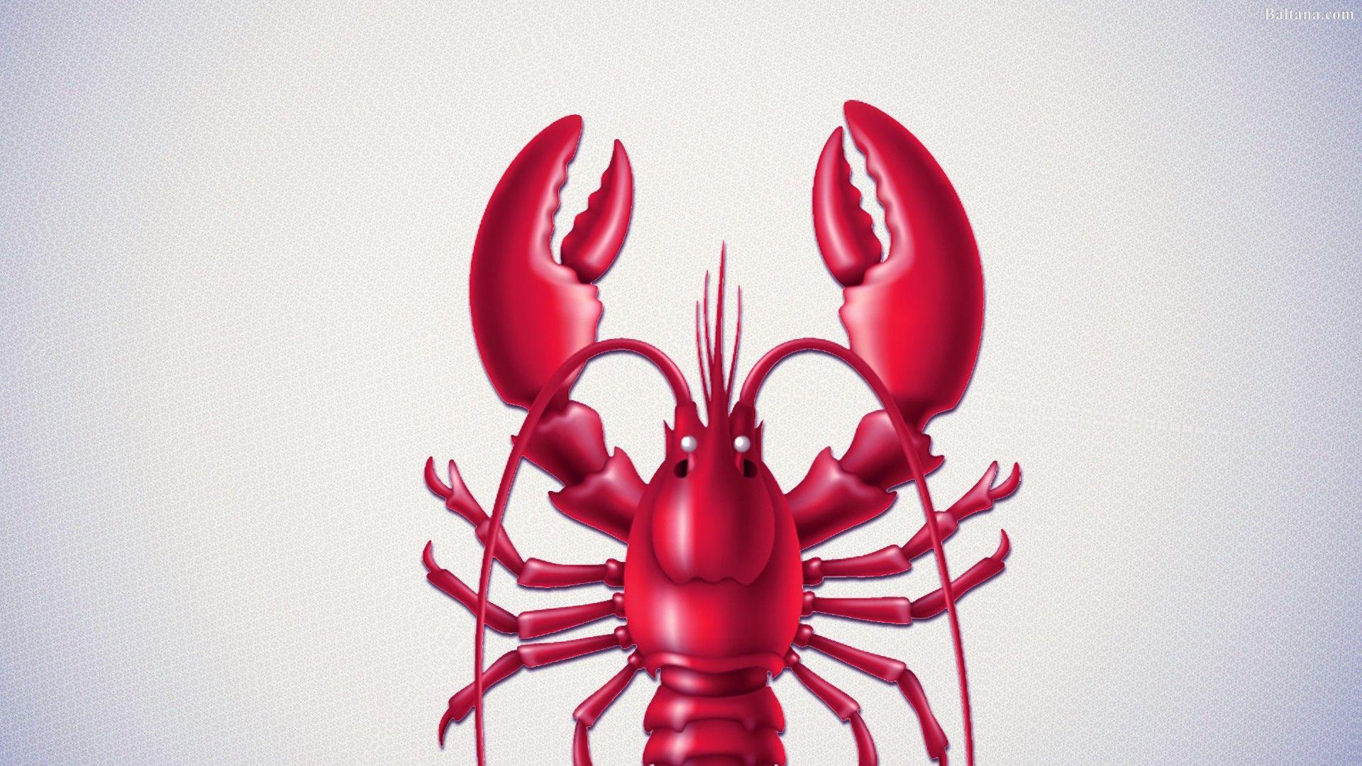 Lobster Wallpaper 1080p 1920x1080