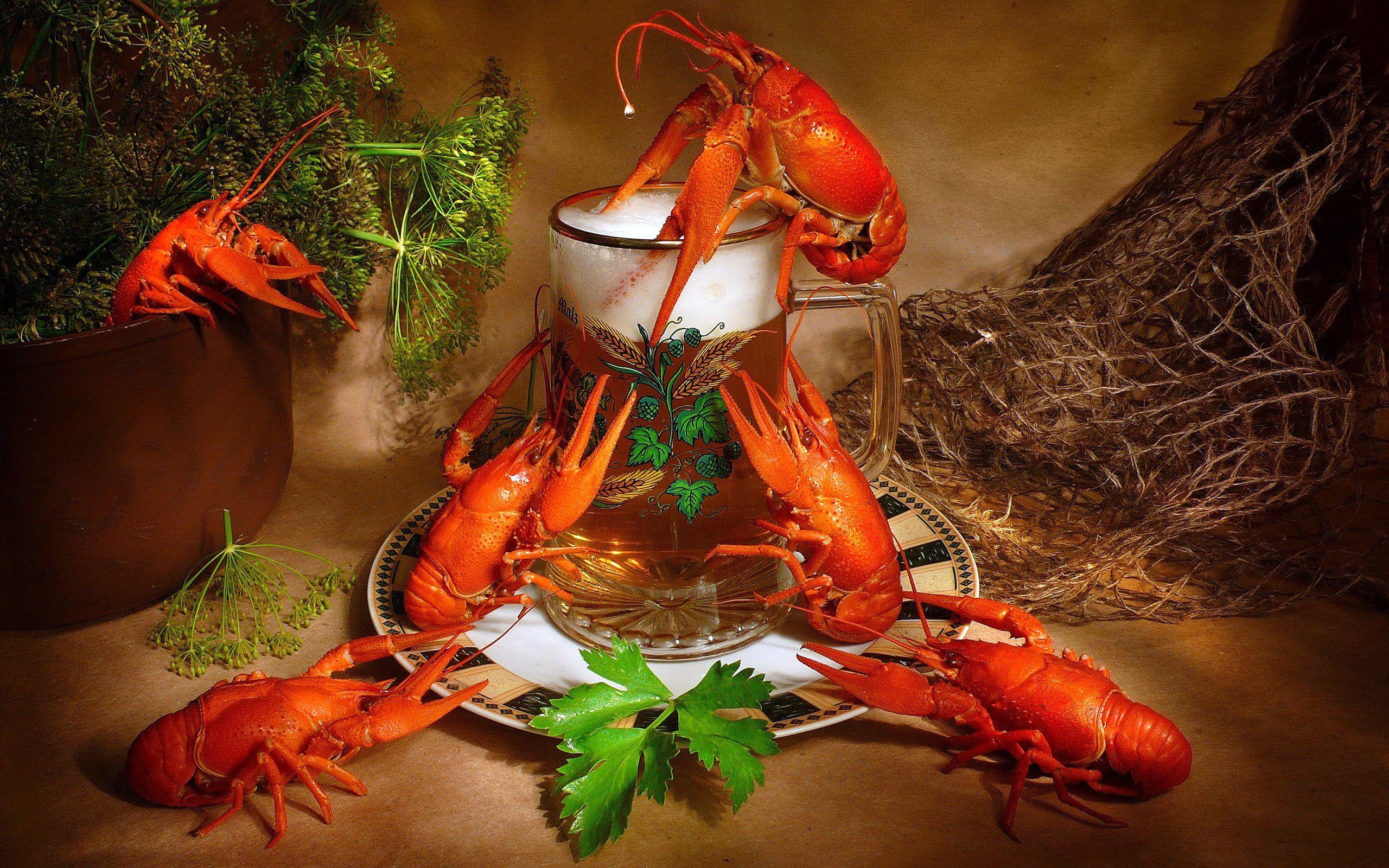 Lobster Wallpaper 2560x1600