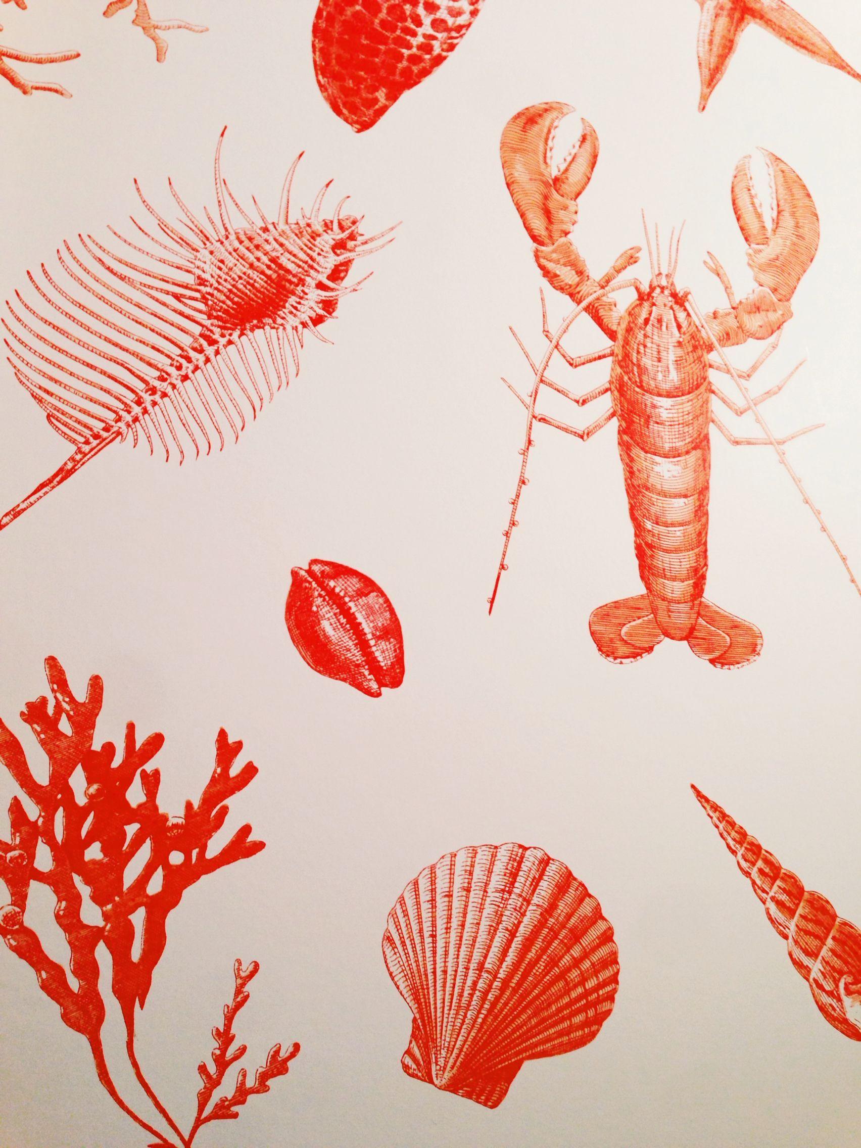 Sanderson Lobster Wallpaper 1704x2272