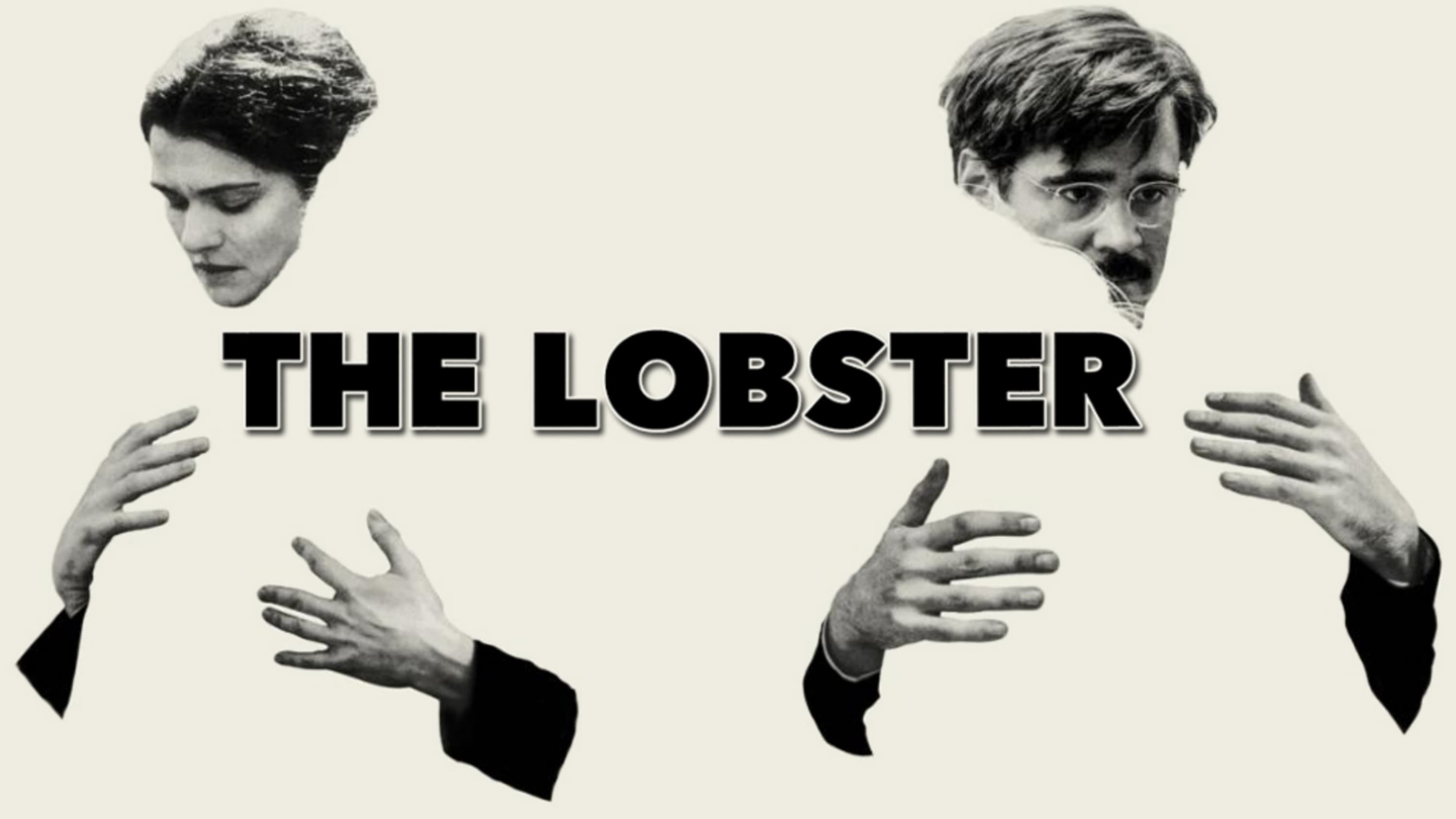 The Lobster Movie Wallpaper 3000x1686