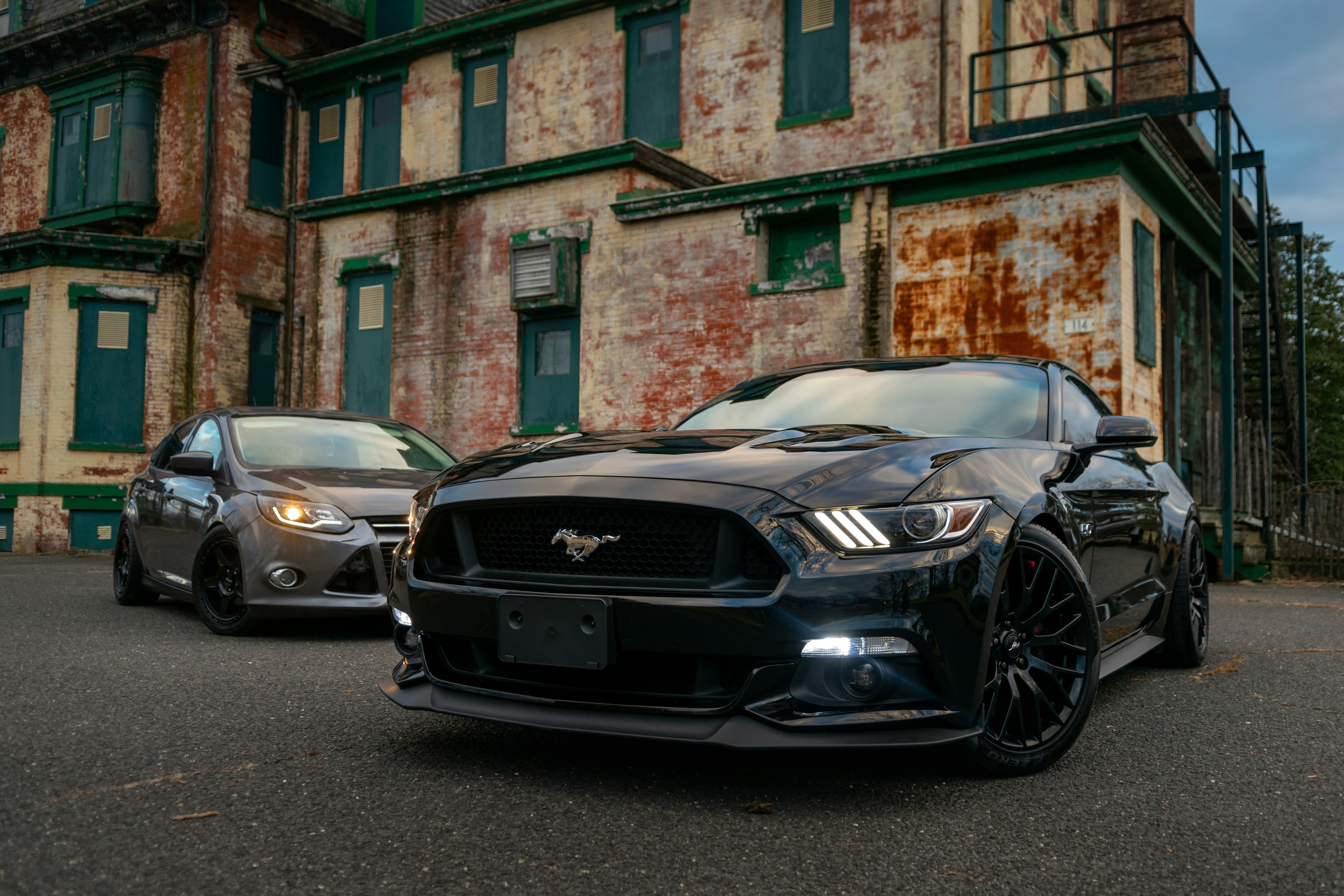 Mustang Images Horse Wallpaper 3500x2333