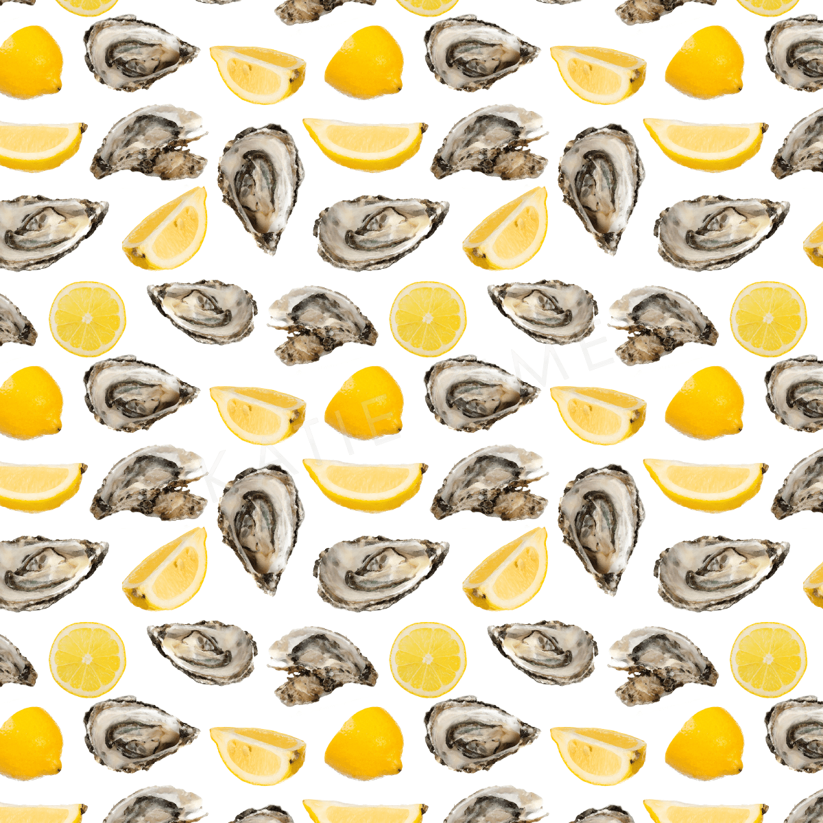 Oyster Images Cartoon 1200x1200