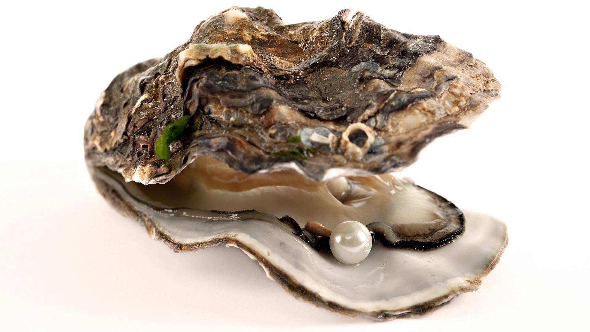 Oyster Pearl Wallpaper 1920x1080