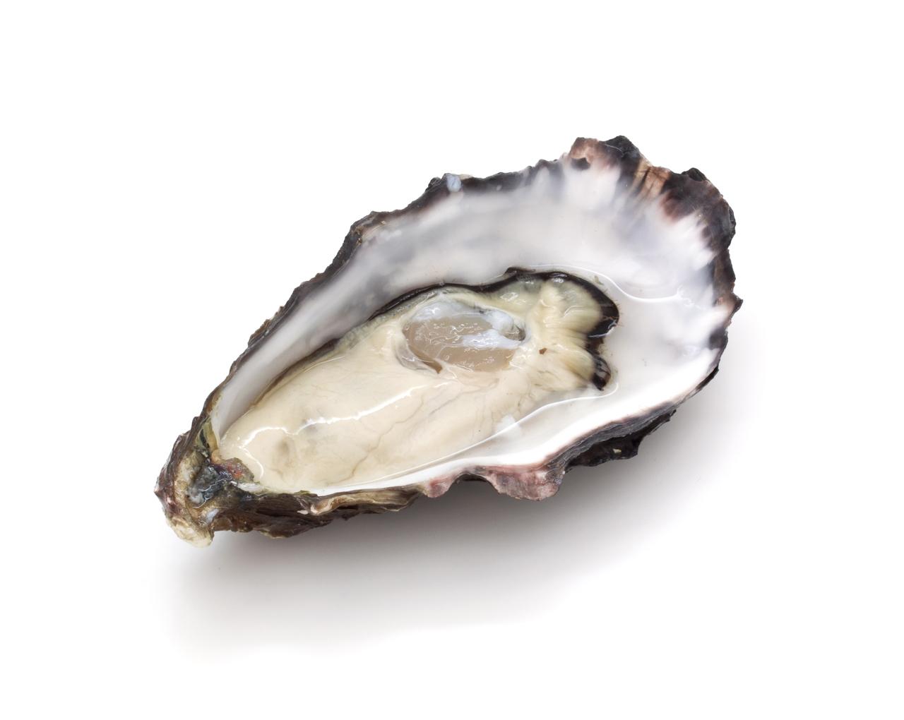 Oyster White Background 1280x1020
