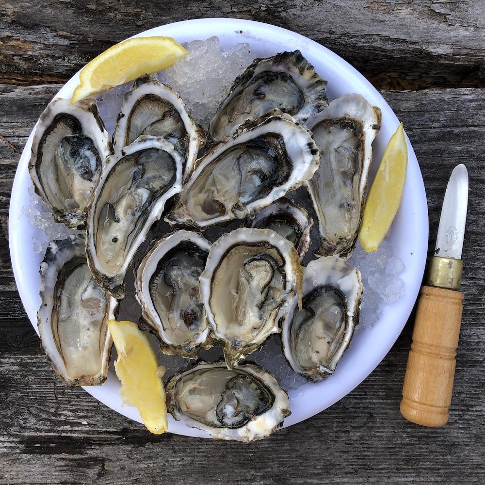 Oysters Images Wallpaper 1000x1000