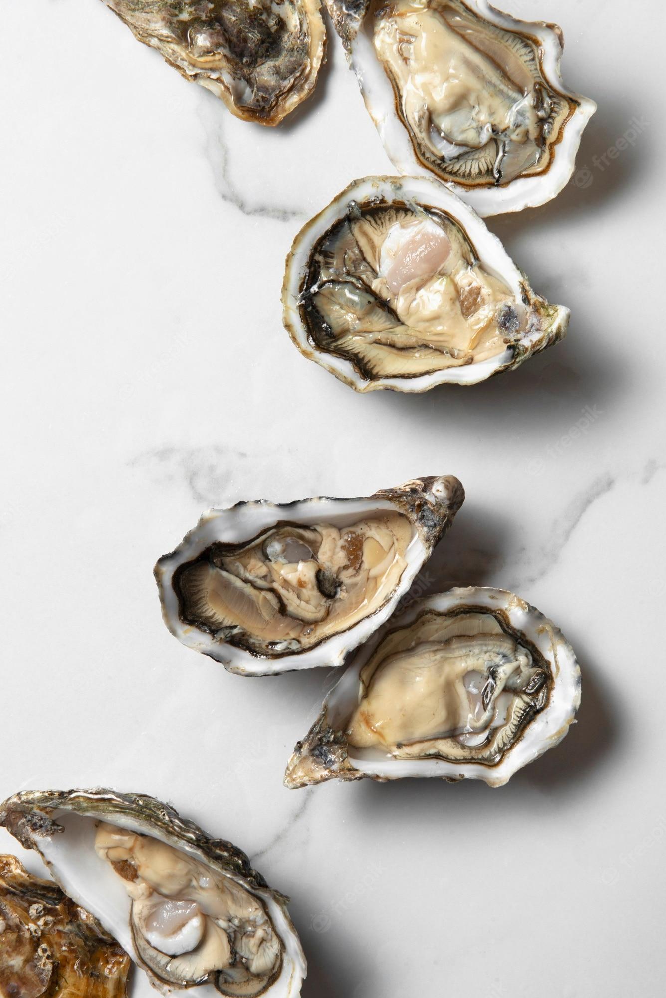 Oysters Pictures iPhone Wallpaper 1335x2000