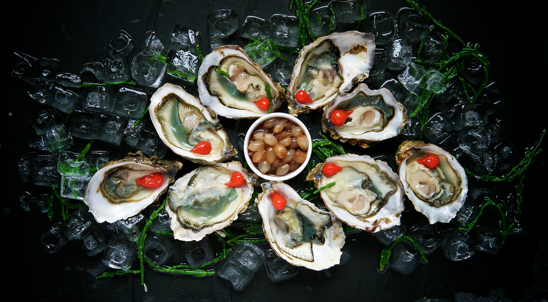 Pictures of Oysters Pc Wallpaper 1920x1060