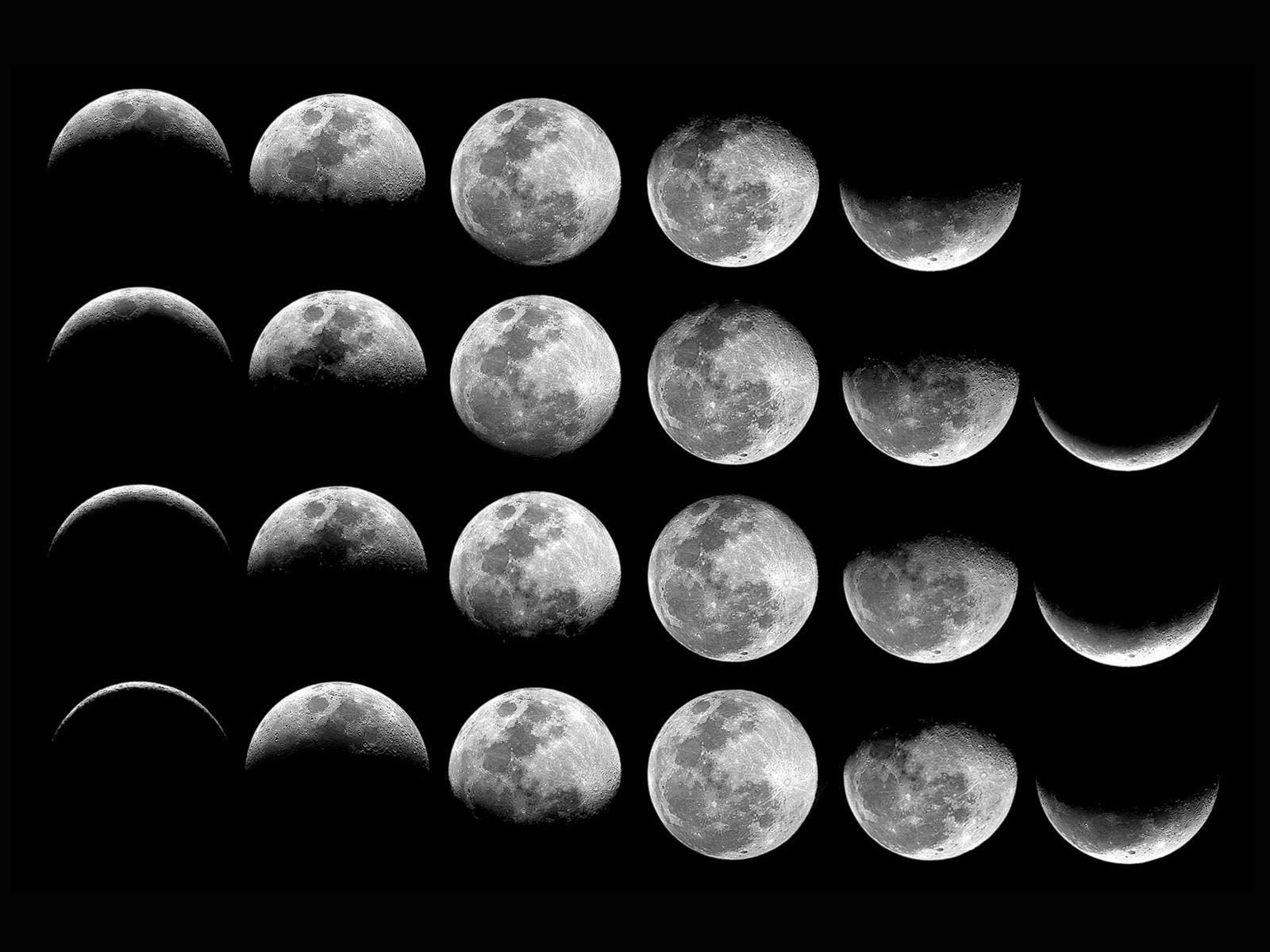 Phases of the Moon Wallpaper 1600x1200
