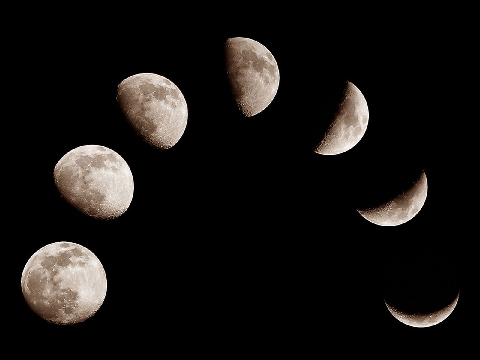 The Phases of the Moon Pictures 1600x1200