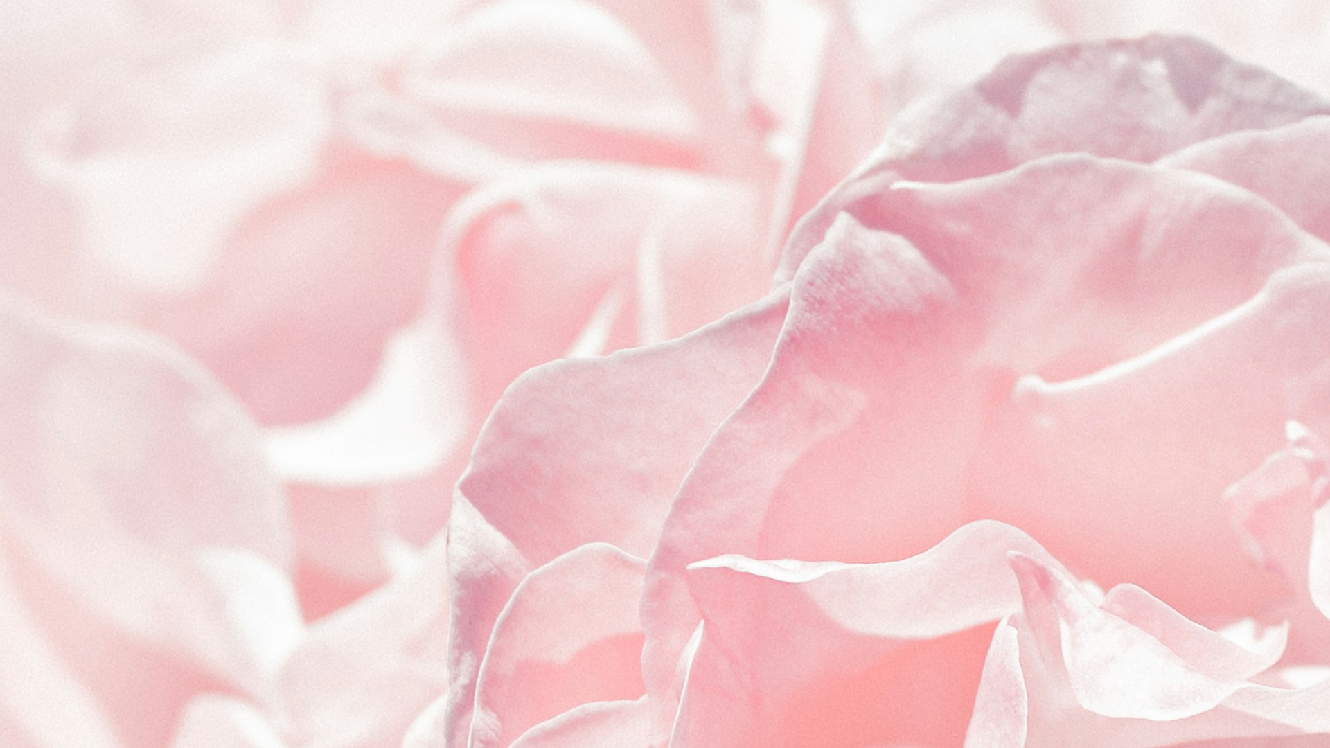 Pastel Pink Boho Desktop Wallpaper Tumblr 1920x1080