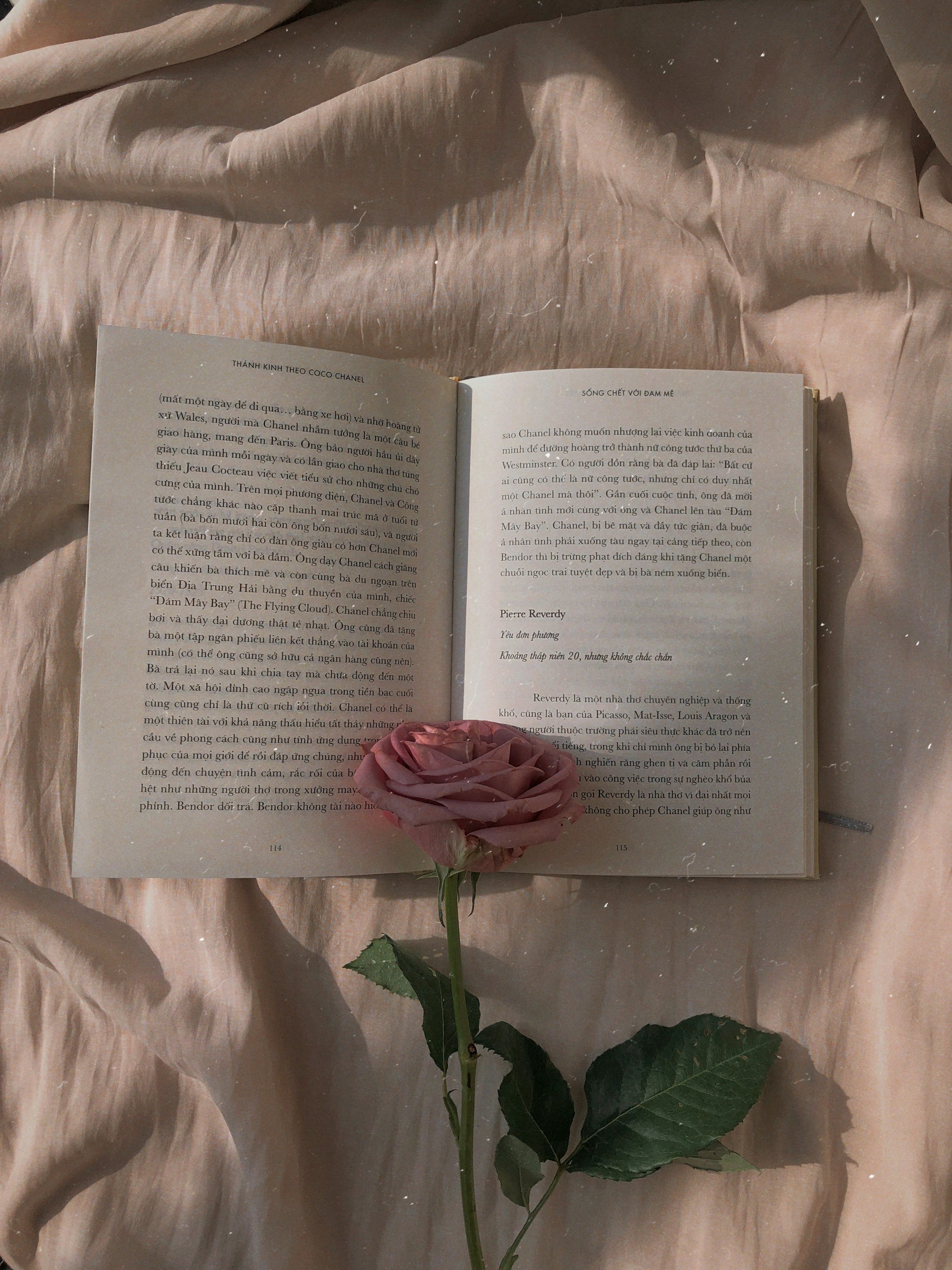 Vintage Rose and Book Wallpaper 1920x2560