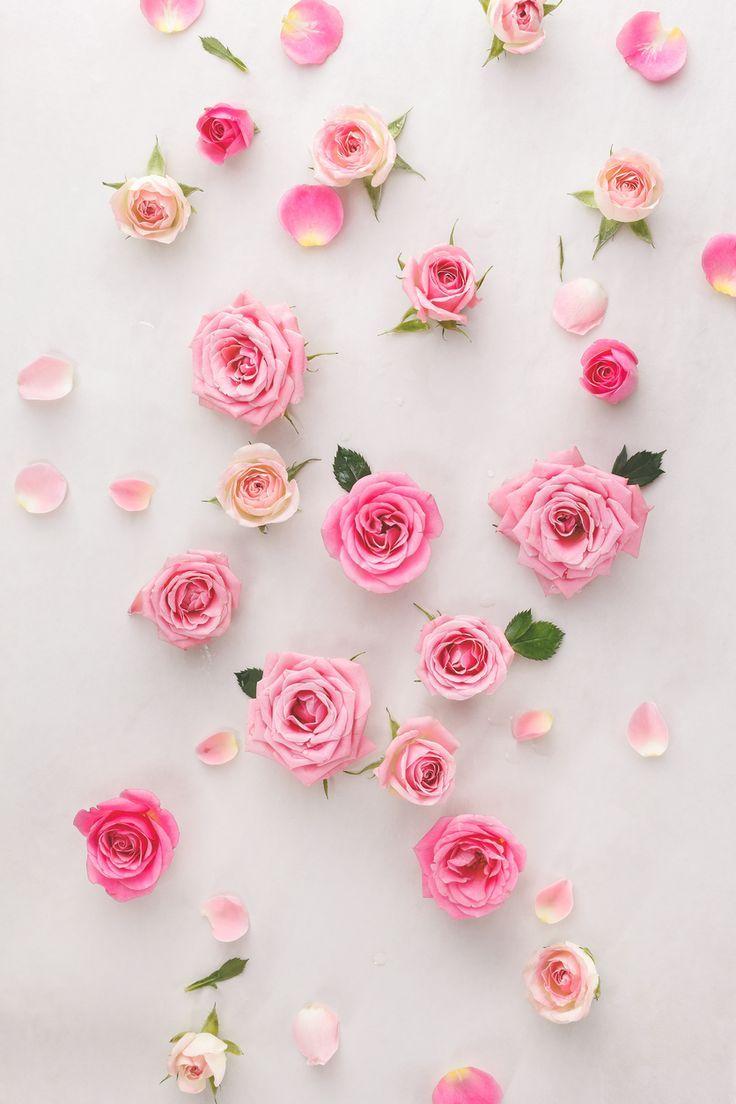Vintage Rose Wallpaper iPhone 736x1104