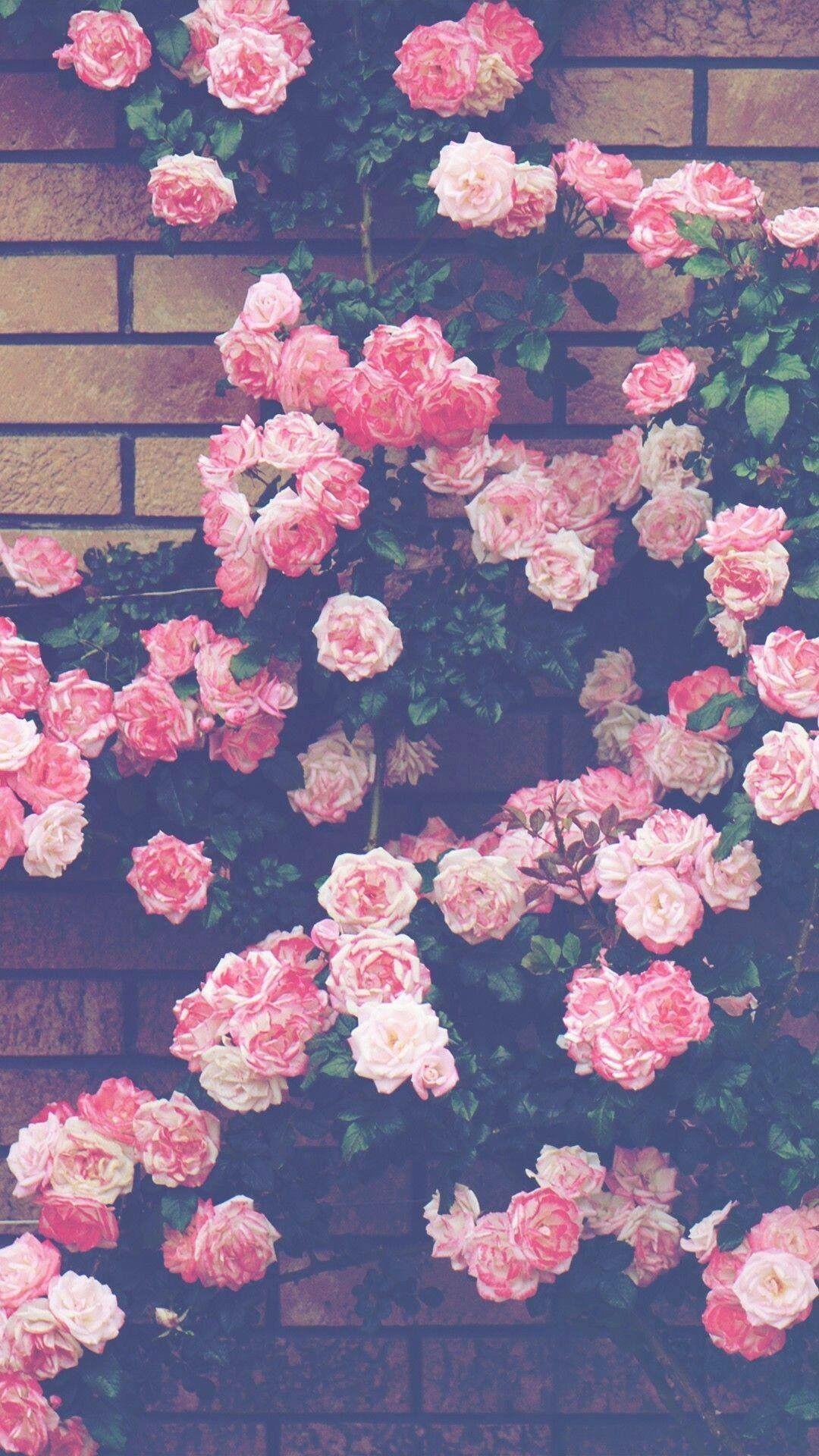 Vintage Wallpaper Pink Roses 1080x1920