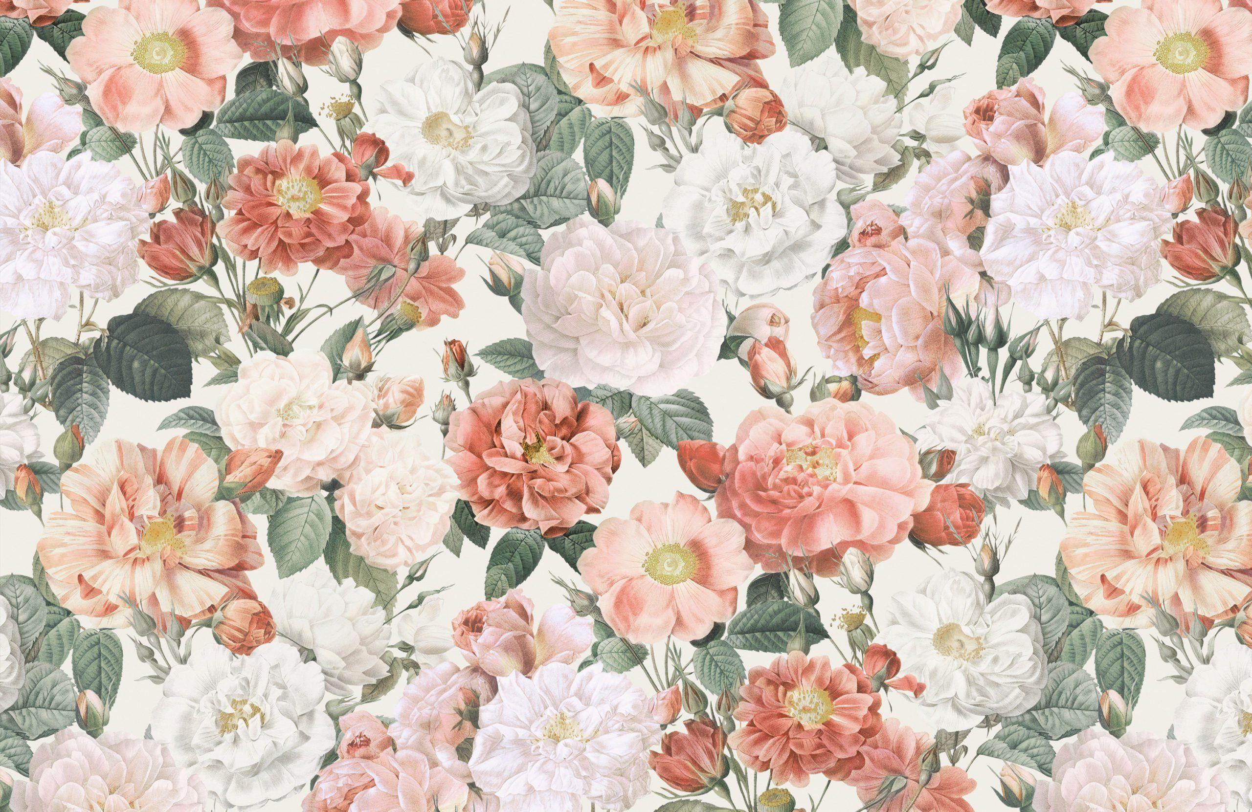 Dusky Pink Vintage Wallpaper 2560x1661