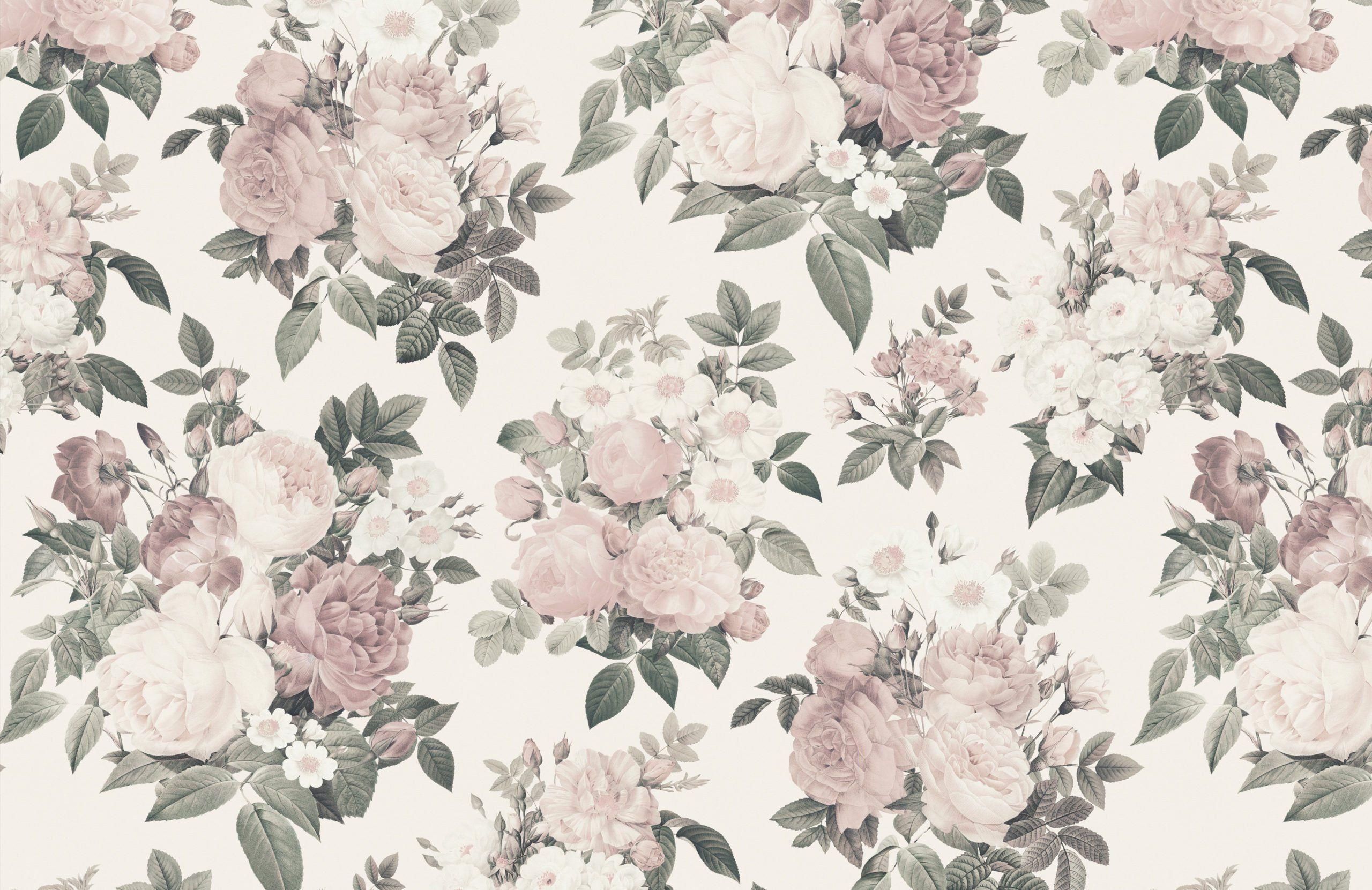 Grey and Pink Vintage Wallpaper 2560x1661