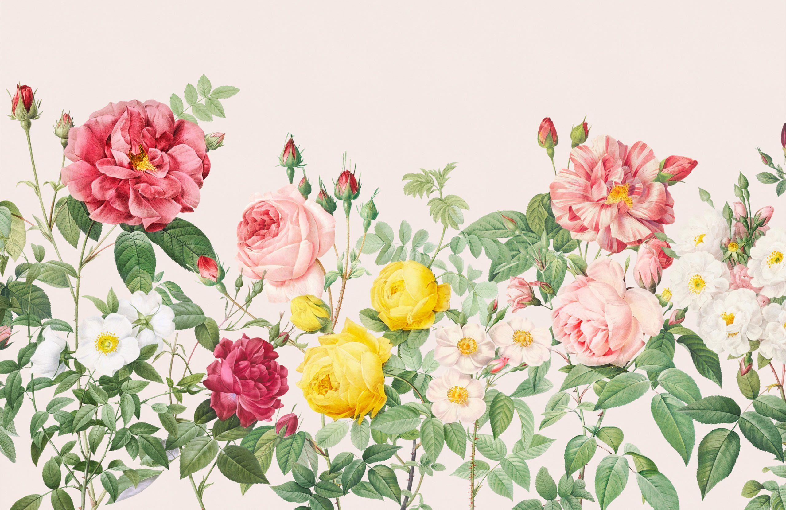 Pink Vintage Flowers Wallpaper 2560x1661