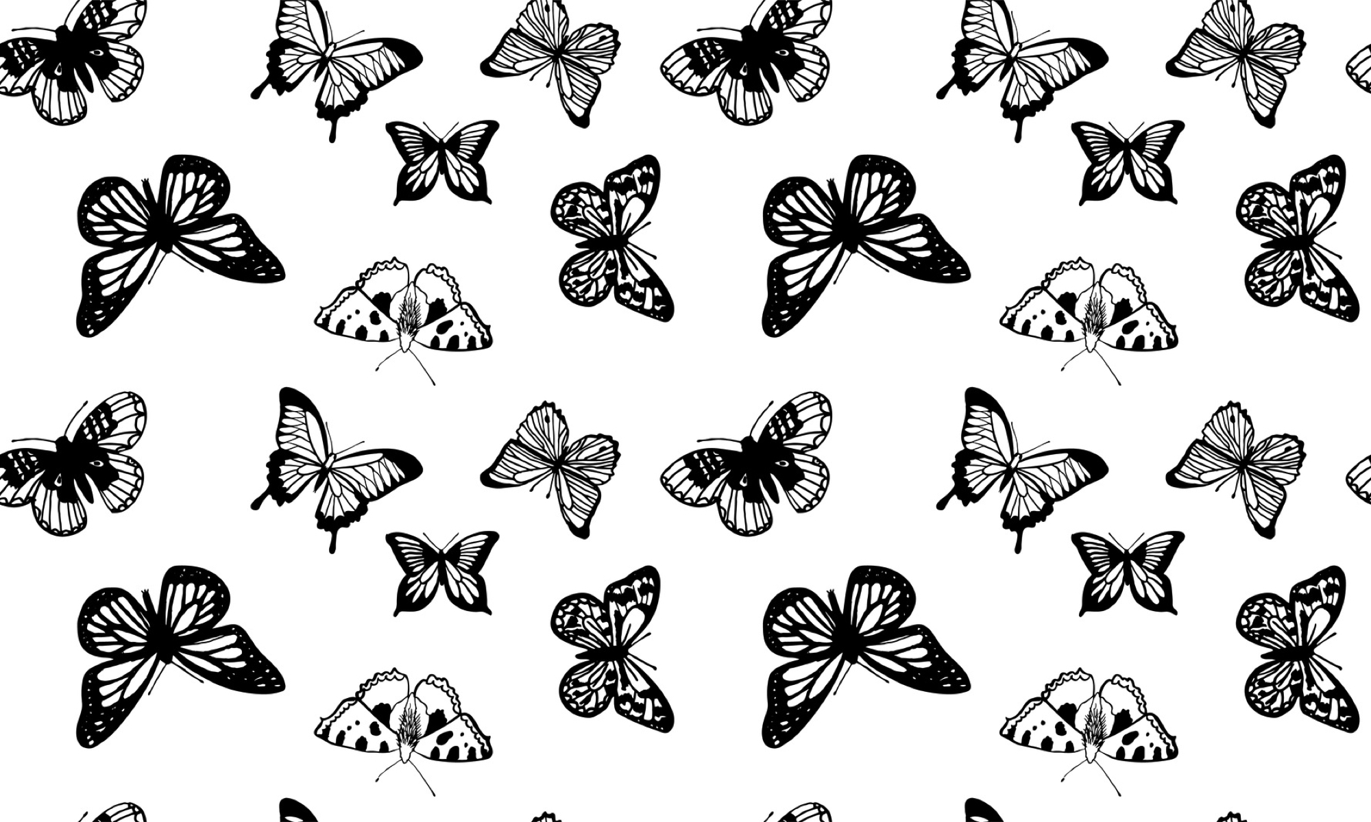 Black and White Wallpaper With Butterflies 2000x1200