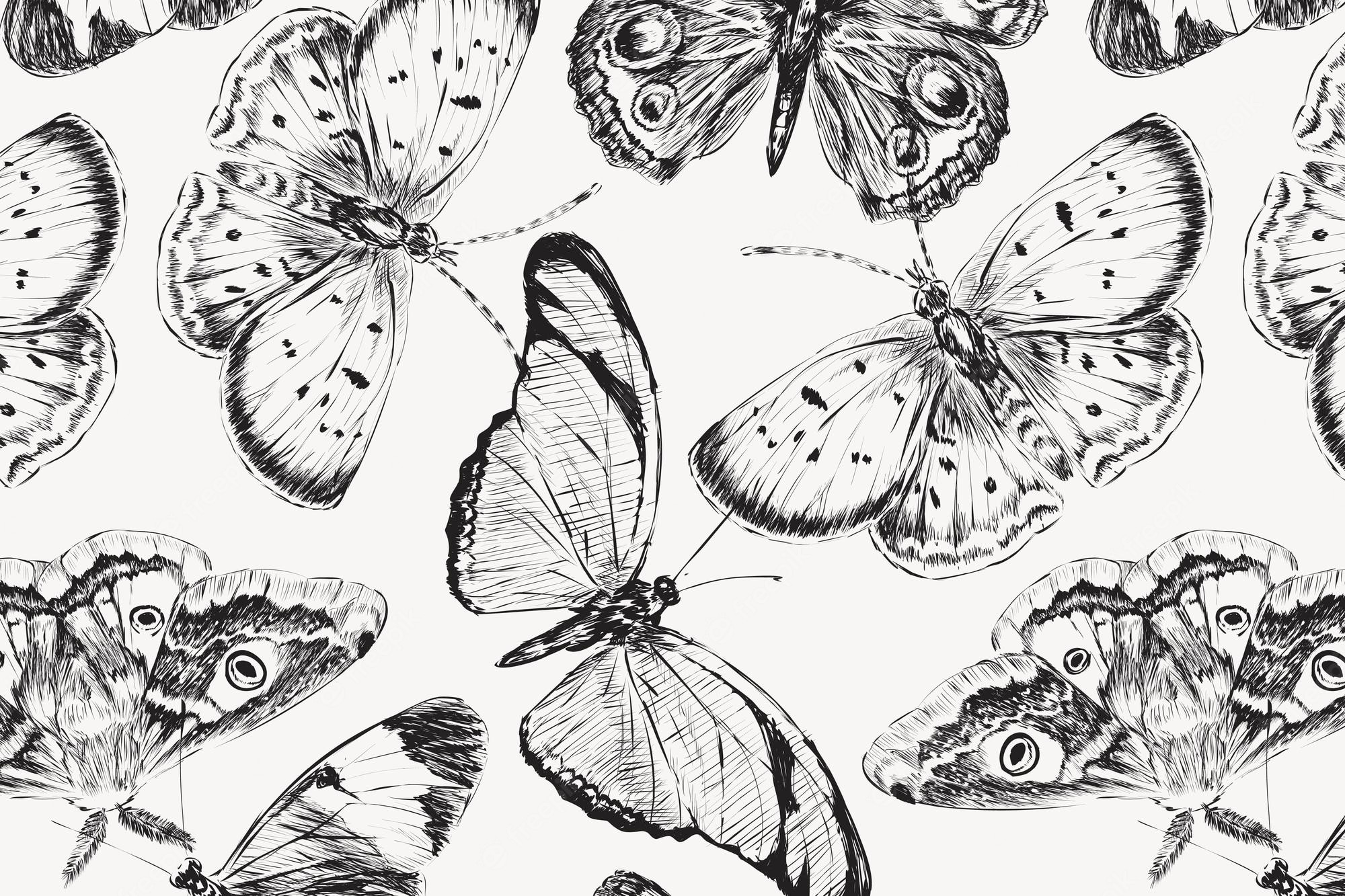 Black Wallpaper With White Butterflies 2000x1333