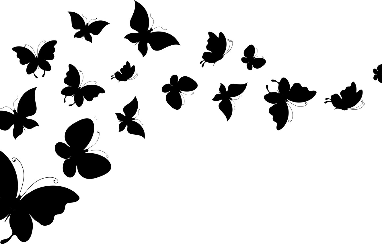 White Butterflies Wallpaper 1332x850