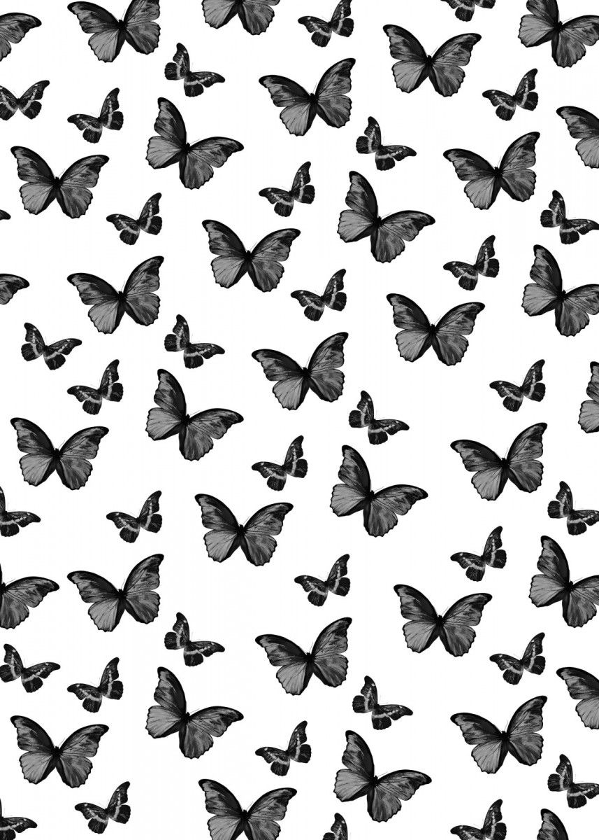 White Wallpaper With Butterflies iPhone 857x1200