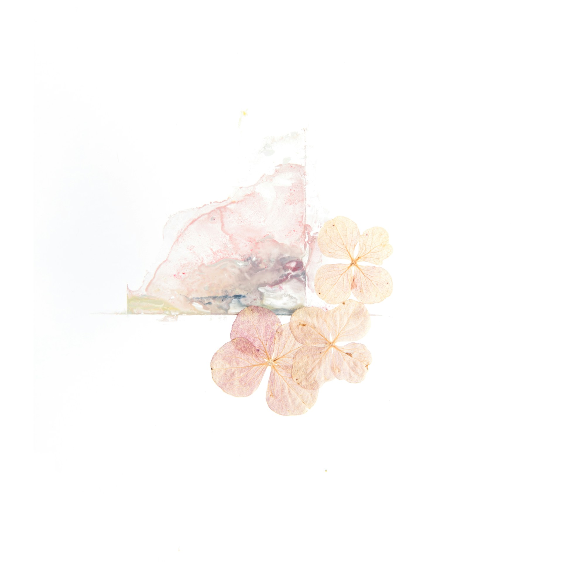 Abstract Beige Floral Wallpaper 1920x1920