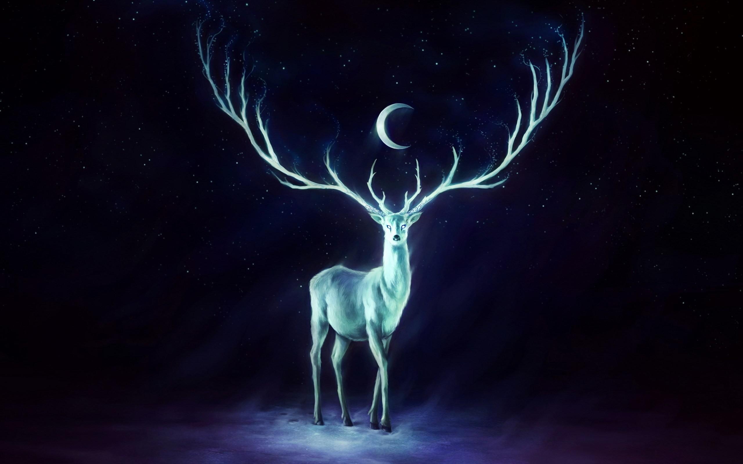 Ua Deer Antlers Wallpaper 2560x1600