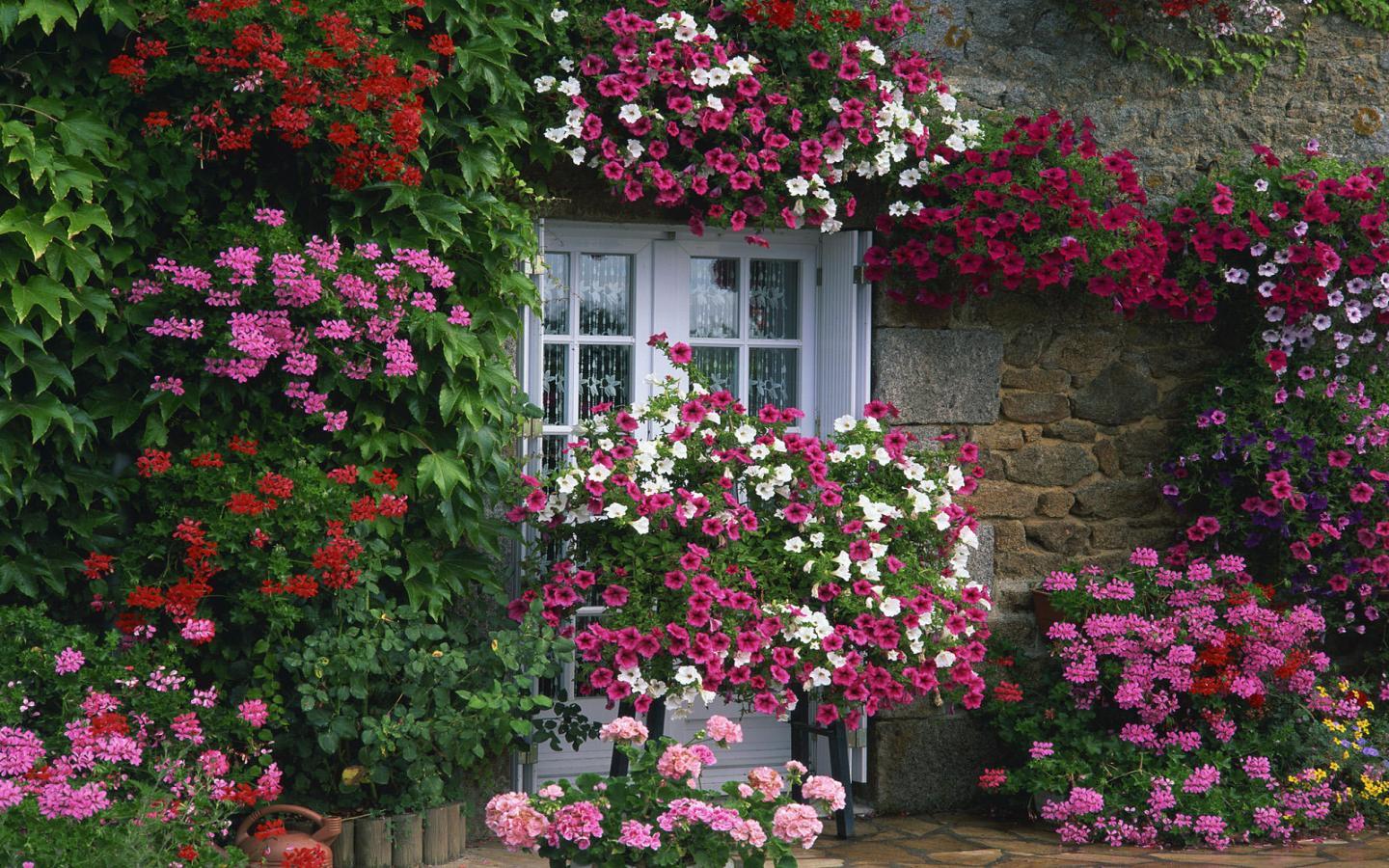Beautiful English gardens images 1440x900