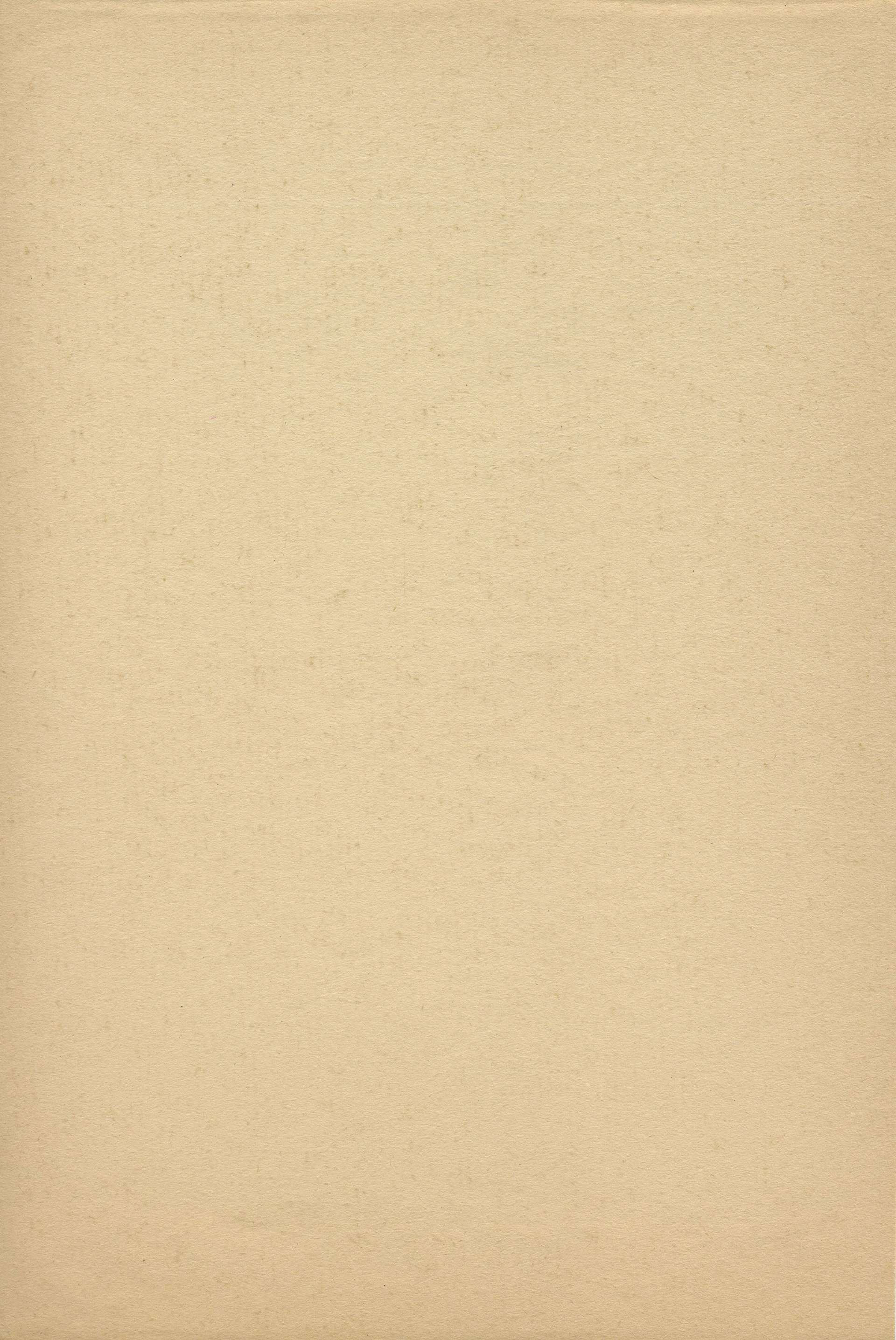 Textured Beige Wallpaper 1920x2872