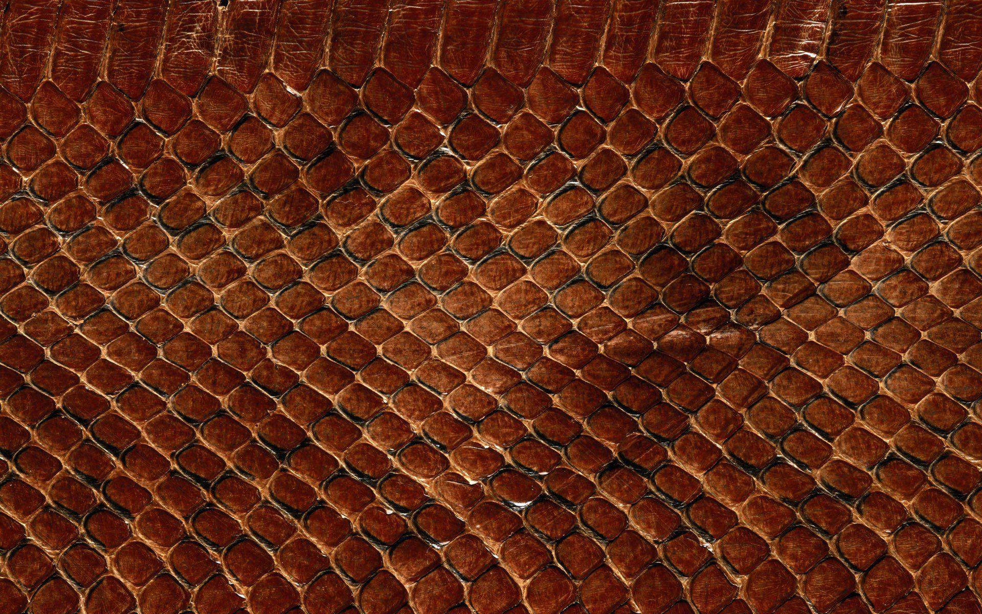 Brown Snakeskin Wallpaper 1920x1200