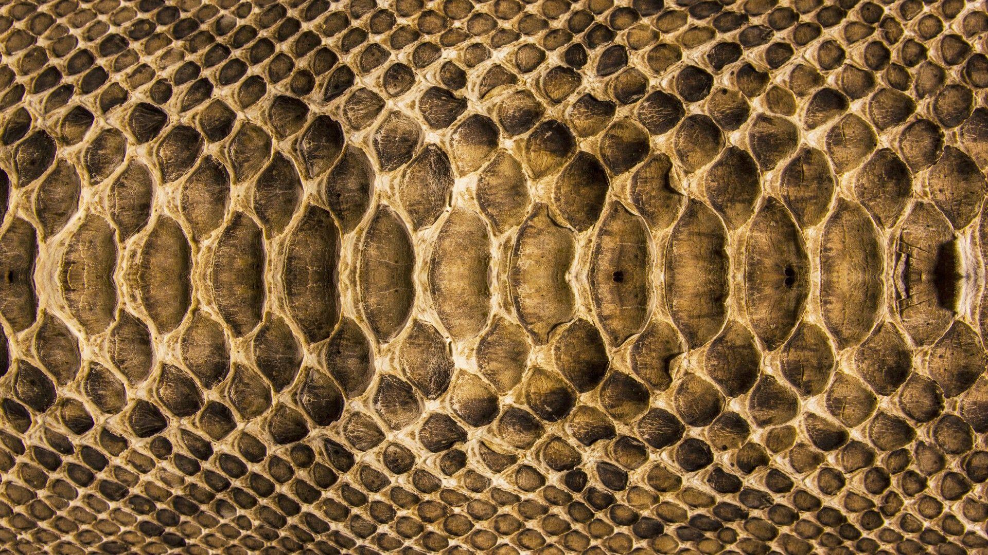 Cream Snakeskin Wallpaper 1920x1080