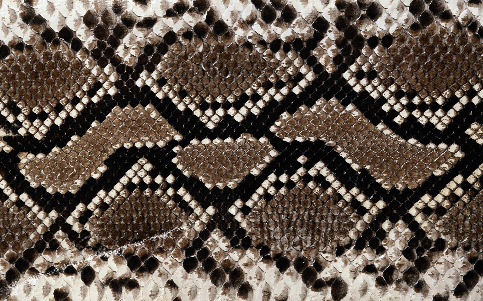Snakeskin Background Image Free 1920x1200