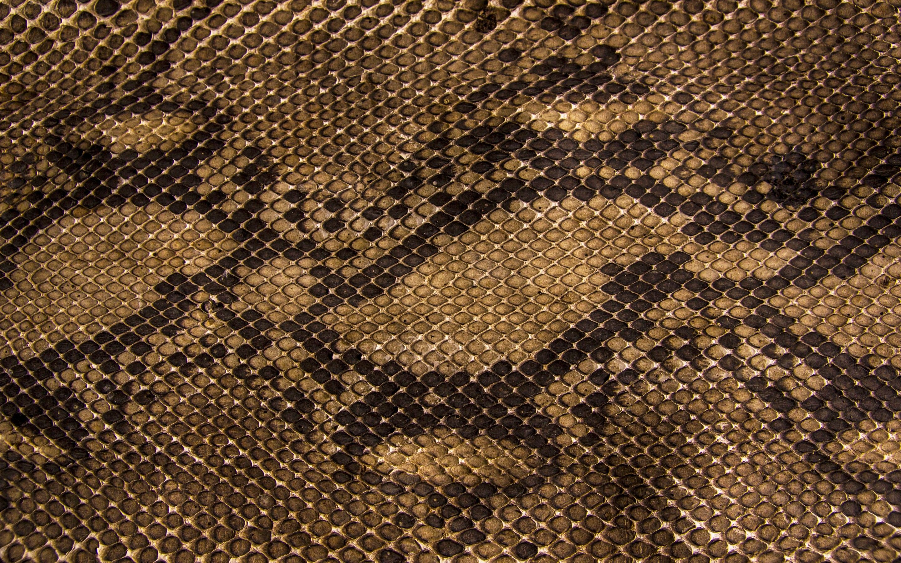 Snakeskin Look Wallpaper 2880x1800