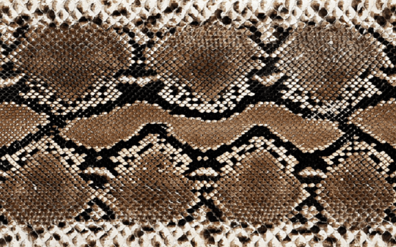 Snakeskin Print Wallpaper 1386x865