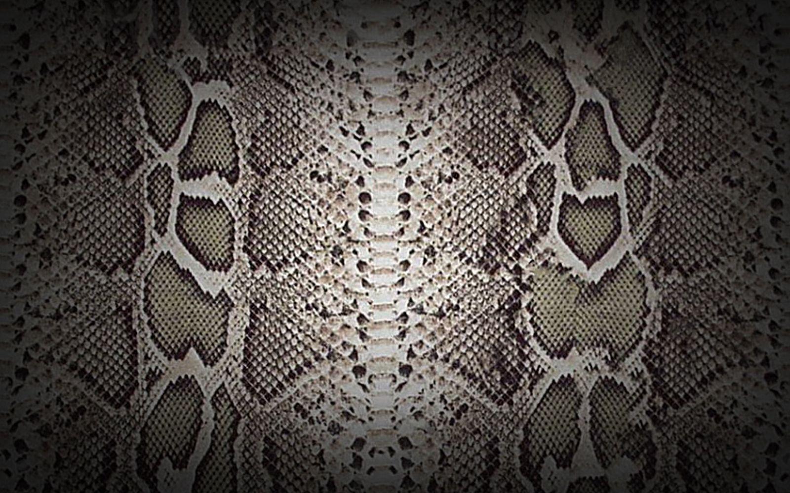 Textured Snakeskin Wallpaper 1600x1000