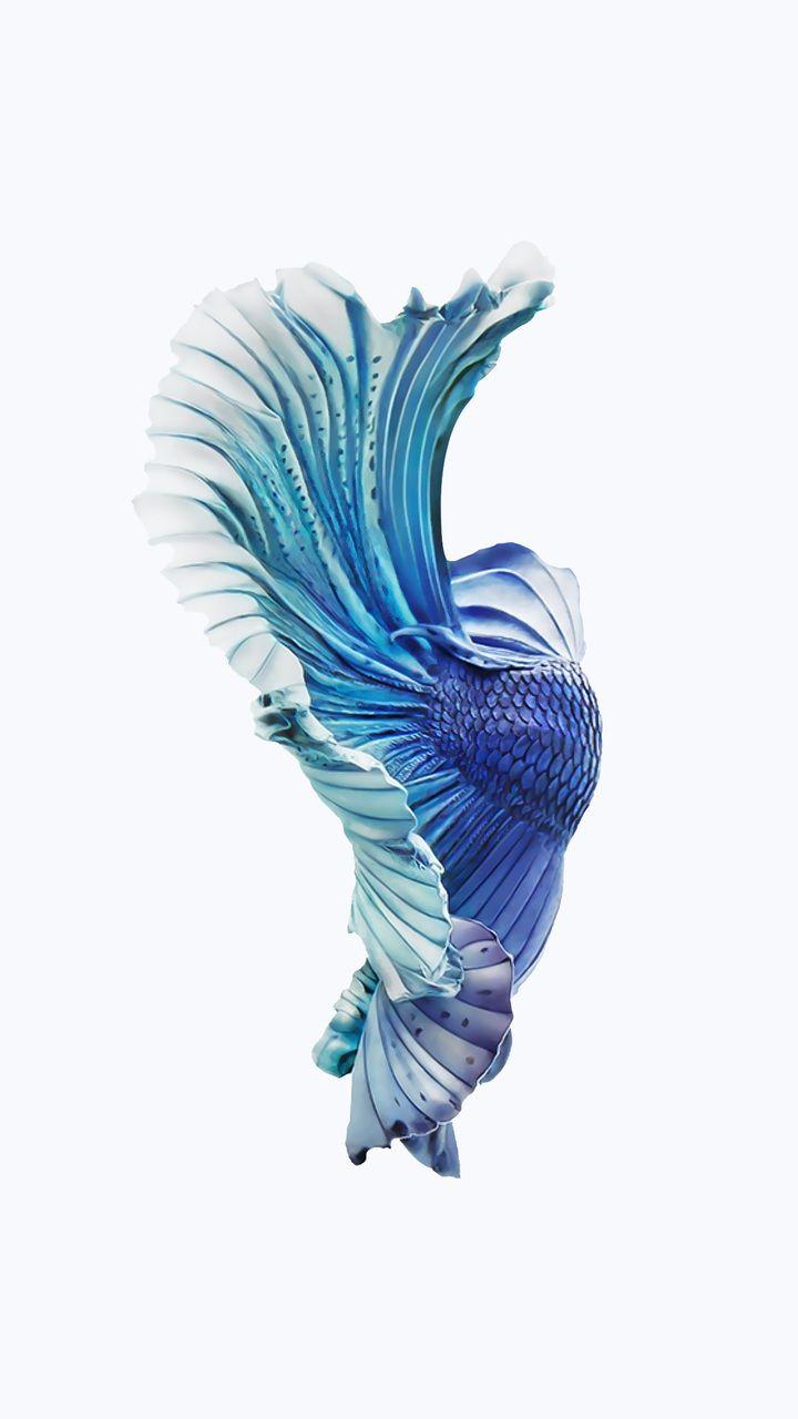Silver iPhone 6s Blue Fish Wallpaper 720x1280
