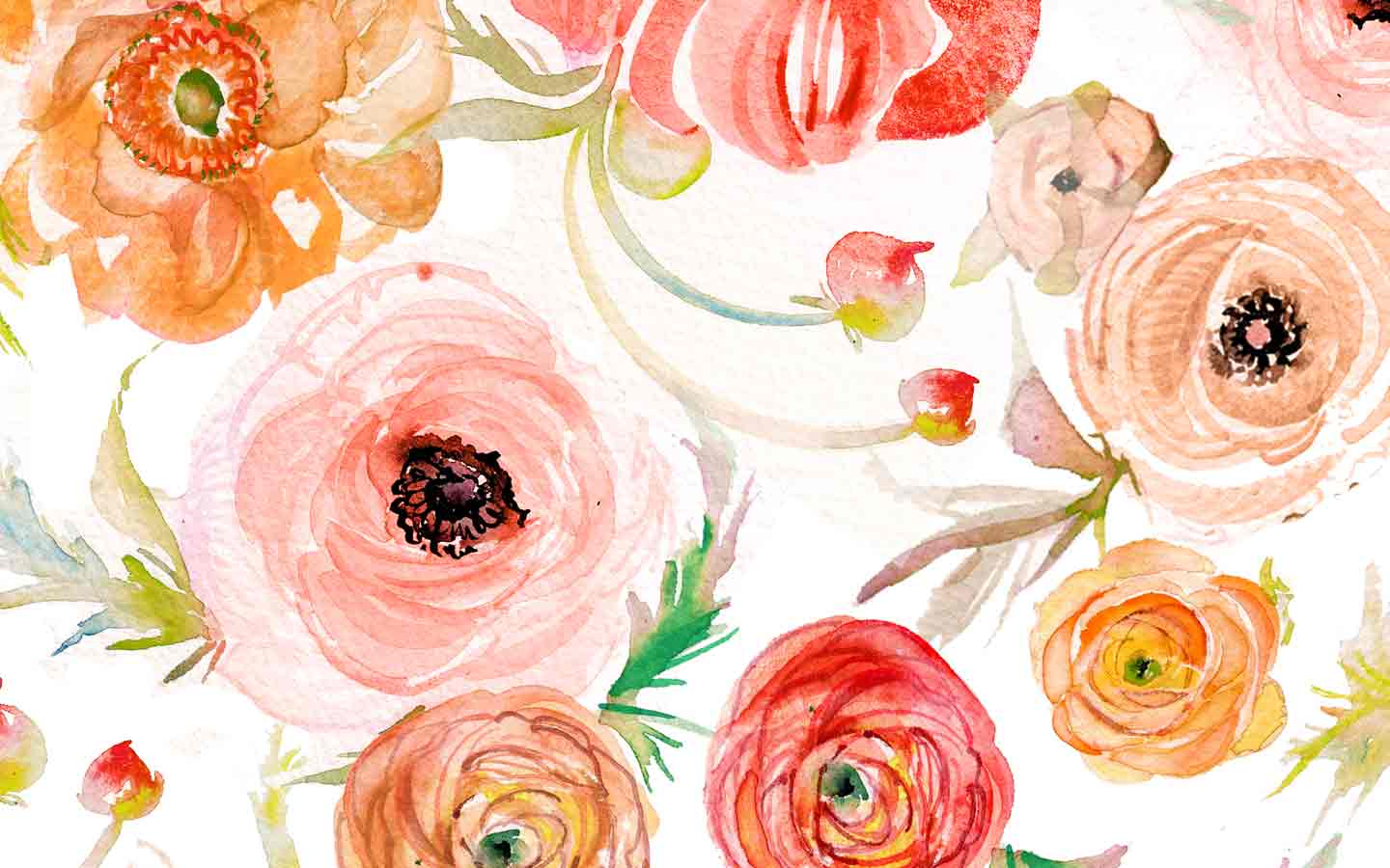 Blush Pink and Red Watercolor Floral Roses Wallpaper 1440x900