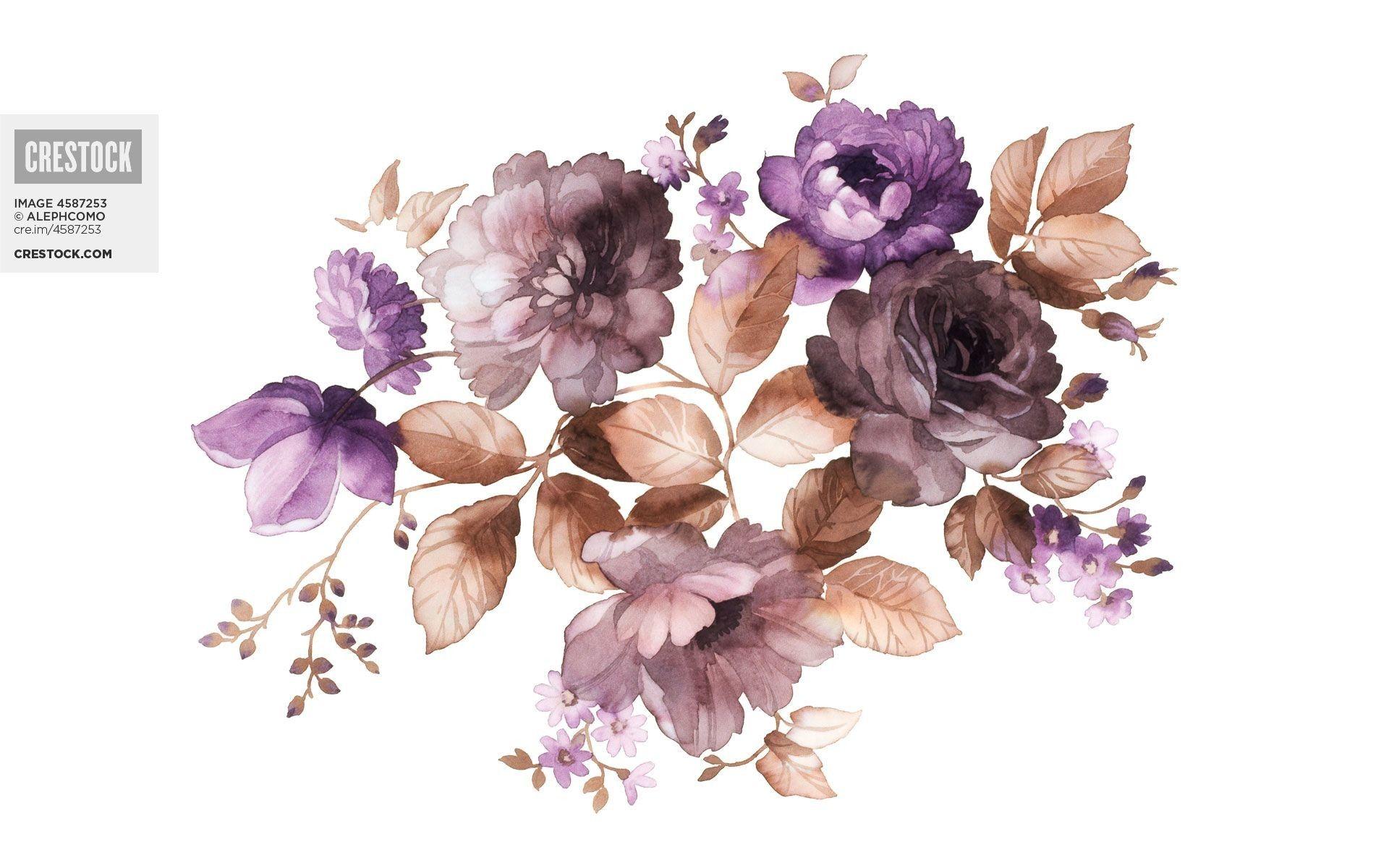 Floral Background Wallpaper Watercolor 1920x1200